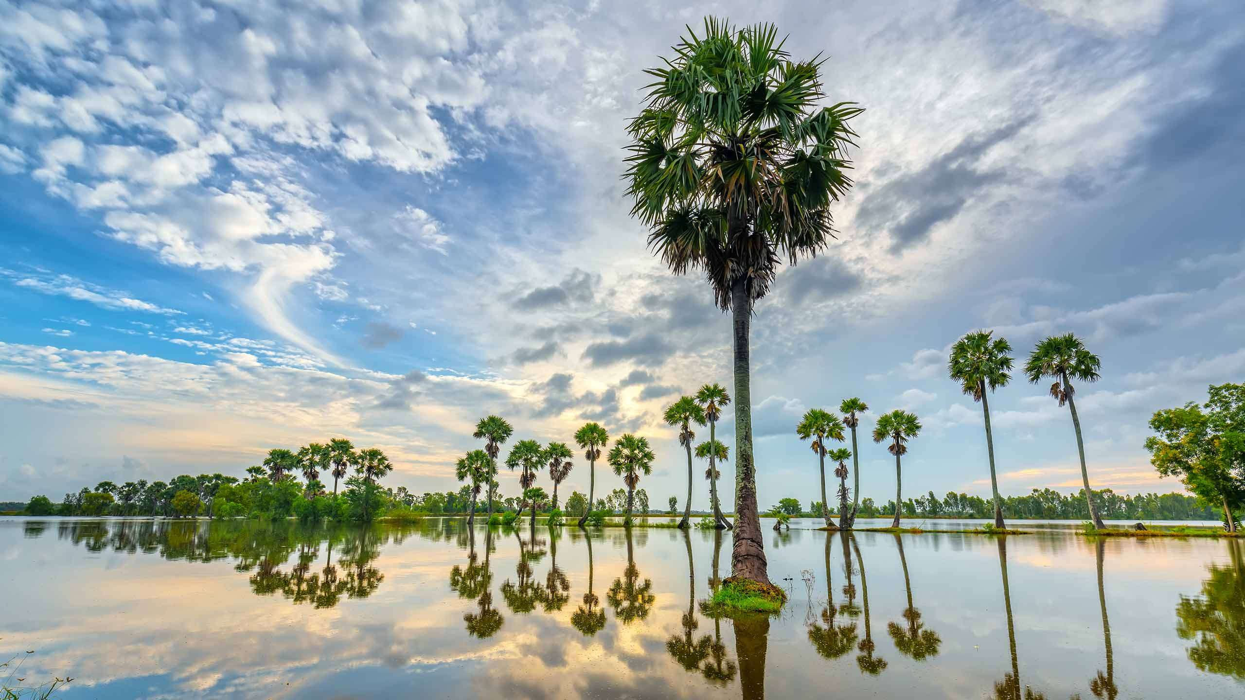 Cambodia Bike, Hike & Kayak (Secrets of Angkor & The Mekong) 8D7N, Fully Guided