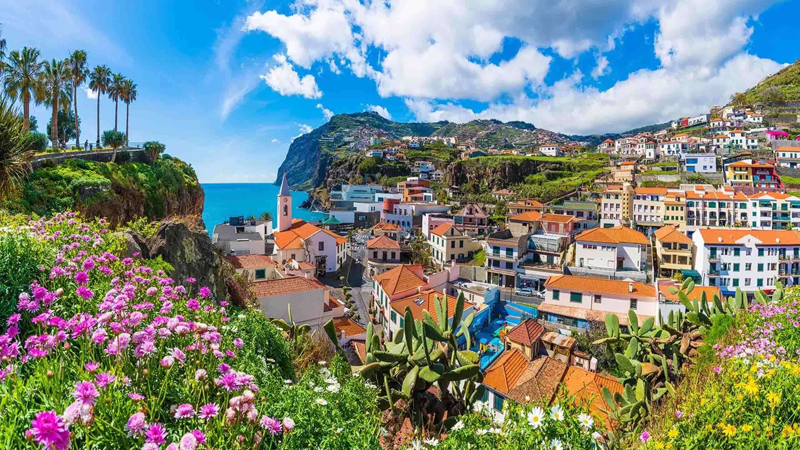 Luxury Madeira Walk 6D5N (Epic Trails & Ancient Forests), Fully Guided