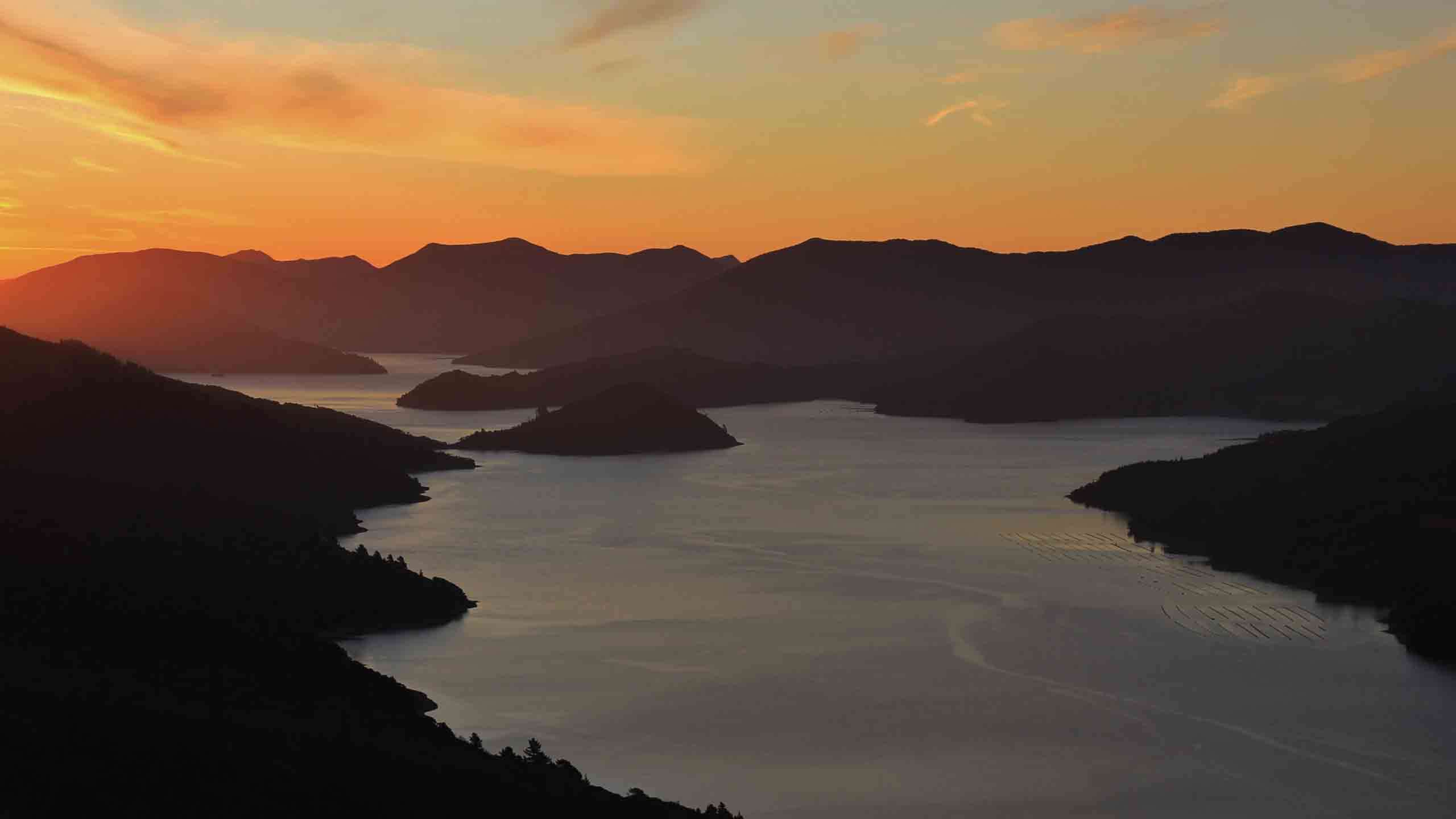 Queen Charlotte Track 'Lodge to Lodge' Walk 4D3N, Private Guided