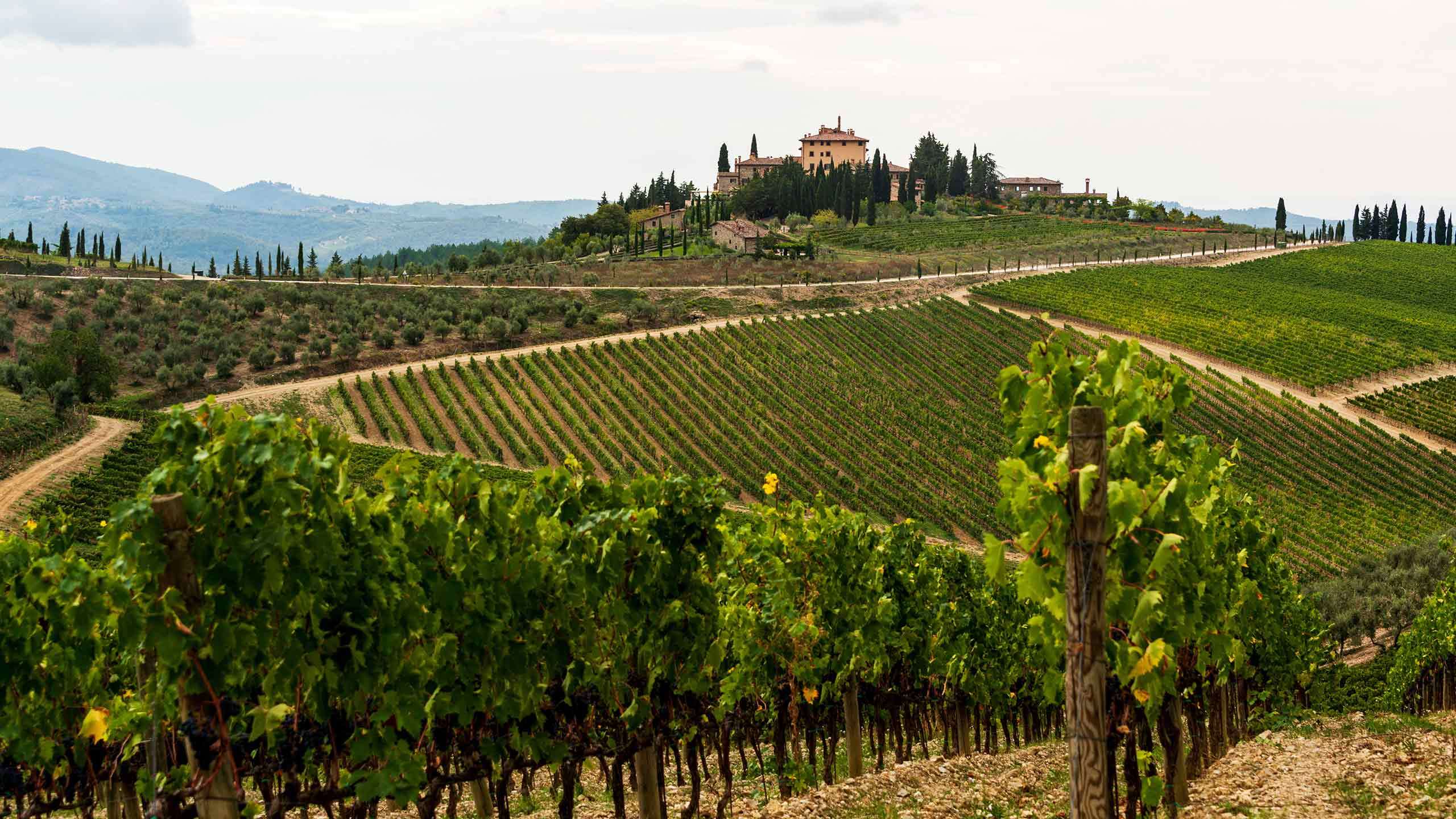 Italy’s Tuscany Biking 6D5N (From Pienza To Siena & Chianti), Fully Guided
