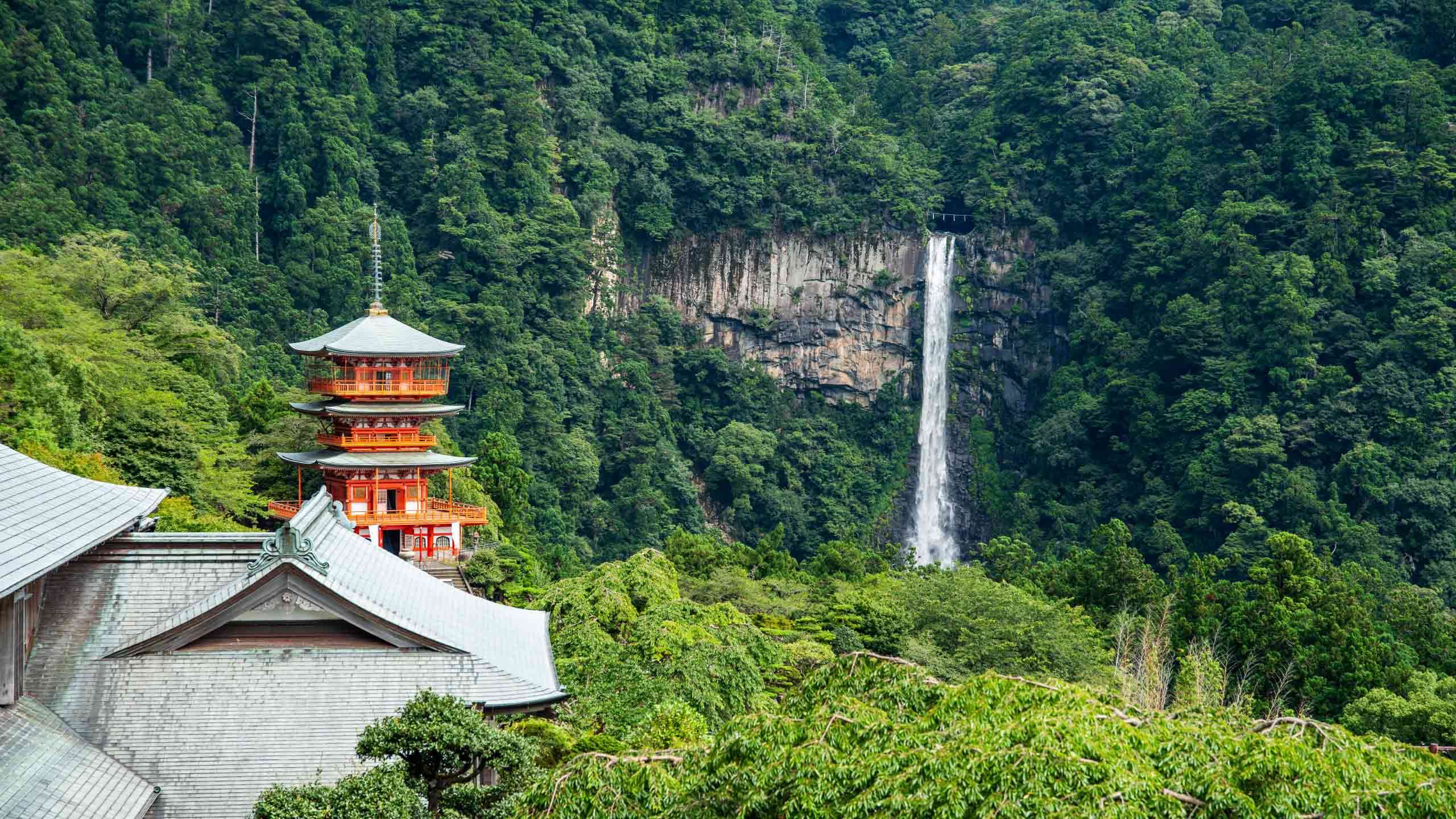 Kumano Kodo Grand Traverse Mountain to Sea 6D5N (Inc. Kogumotori-goe & Ogumotori-goe), Self Guided