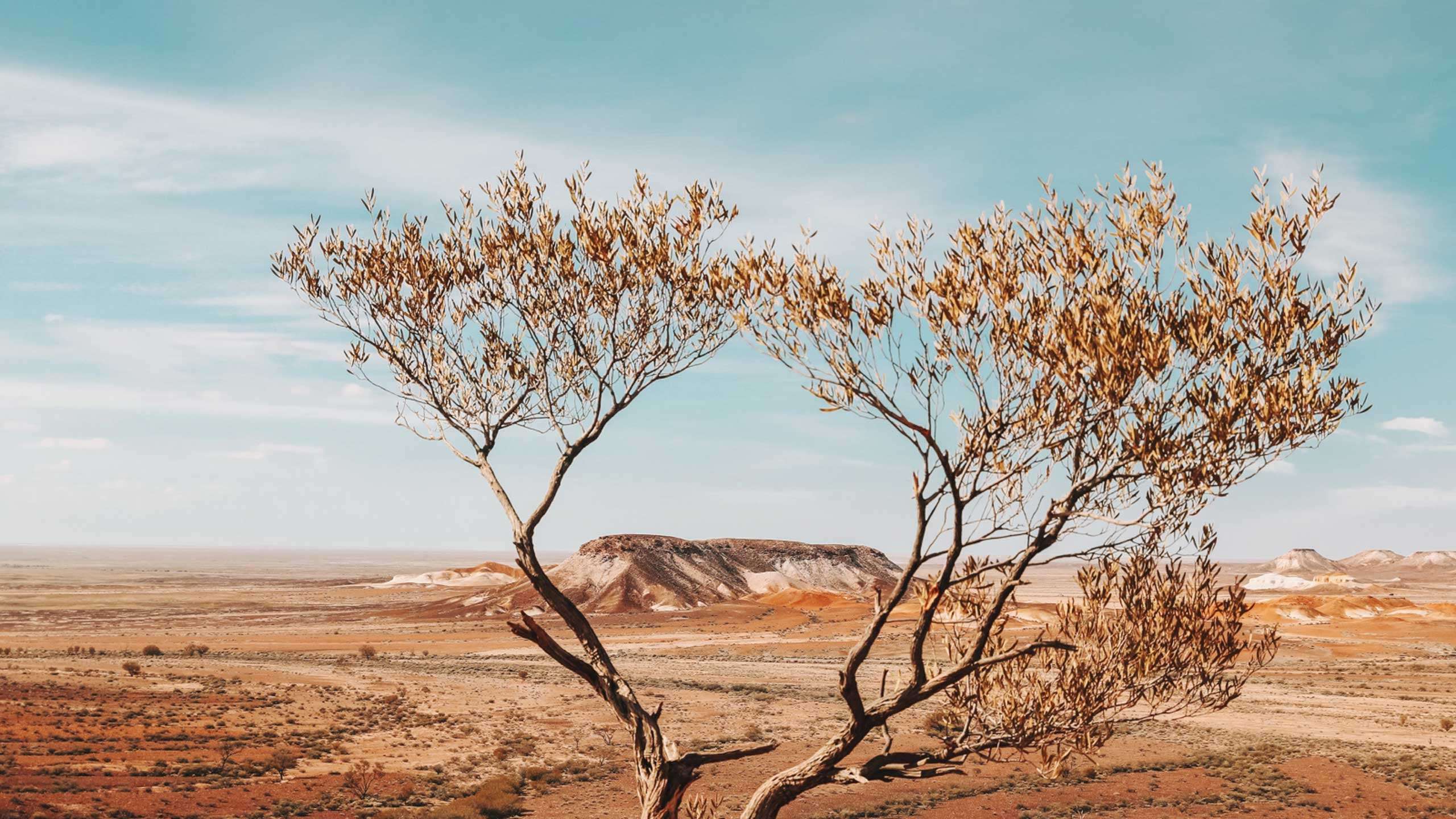 Luxury Adelaide to Alice Springs Outback Adventure 7D6N, Fully Guided