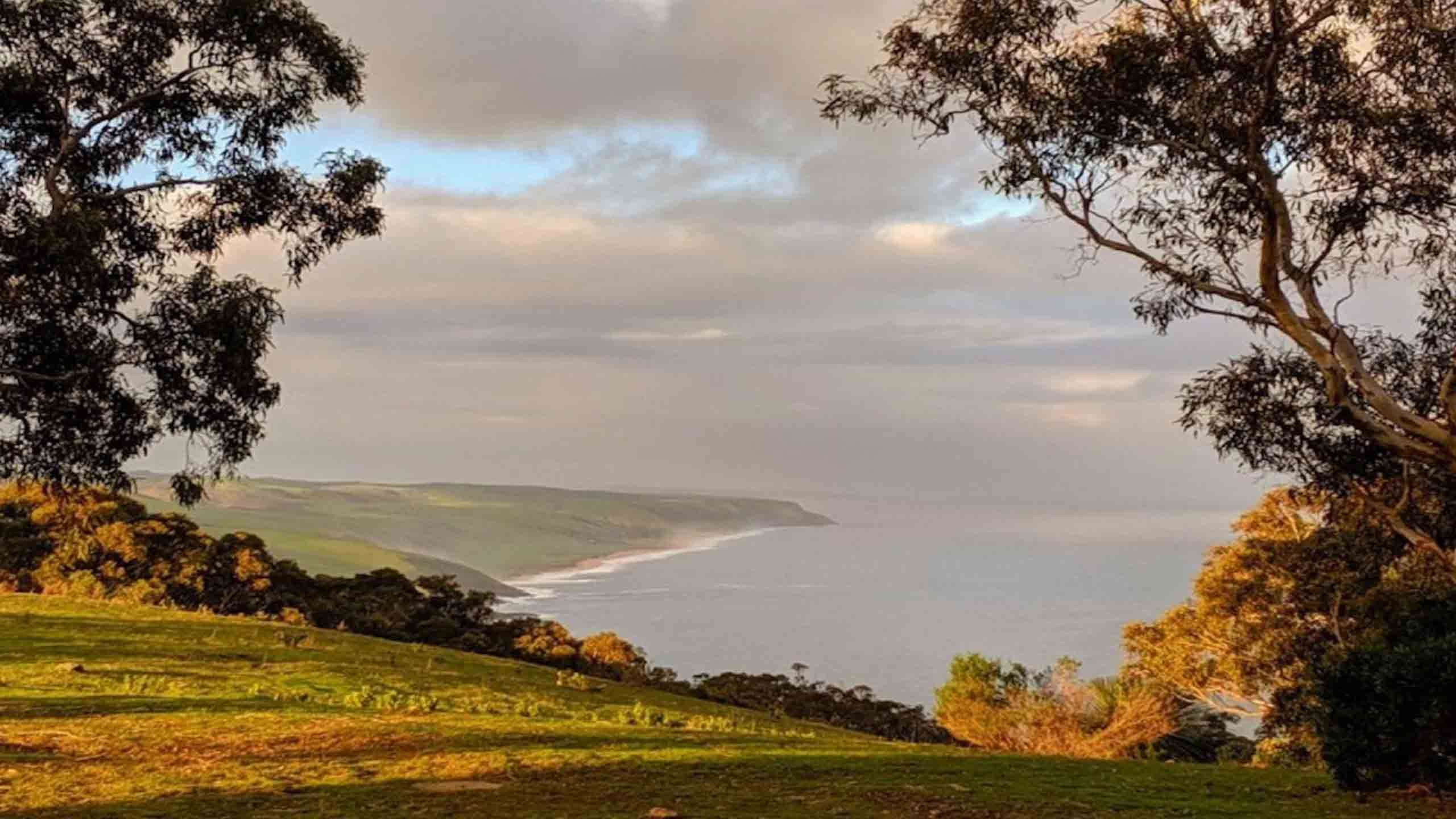 Great Southern Ocean Walk 4D3N, Fully Guided