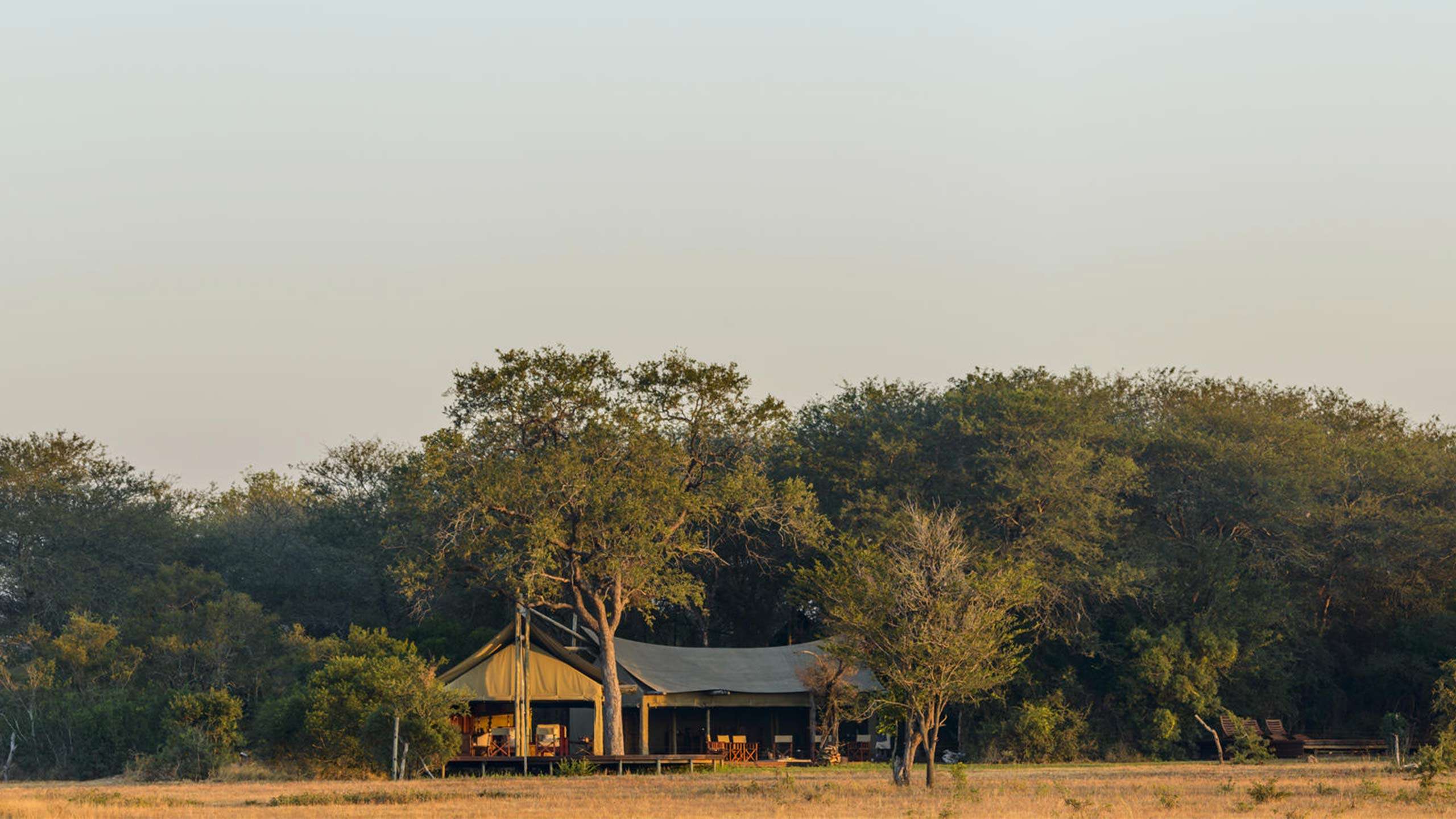 The Plains Camp, Home of Rhino Walking Safari