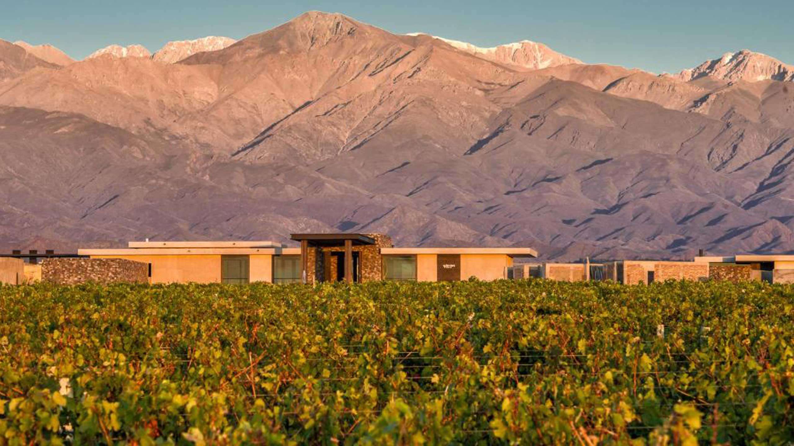 Luxury Argentina's Mendoza Walk & Bike (Towering Andes & Wine Country Escapes) 7D6N, Fully Guided