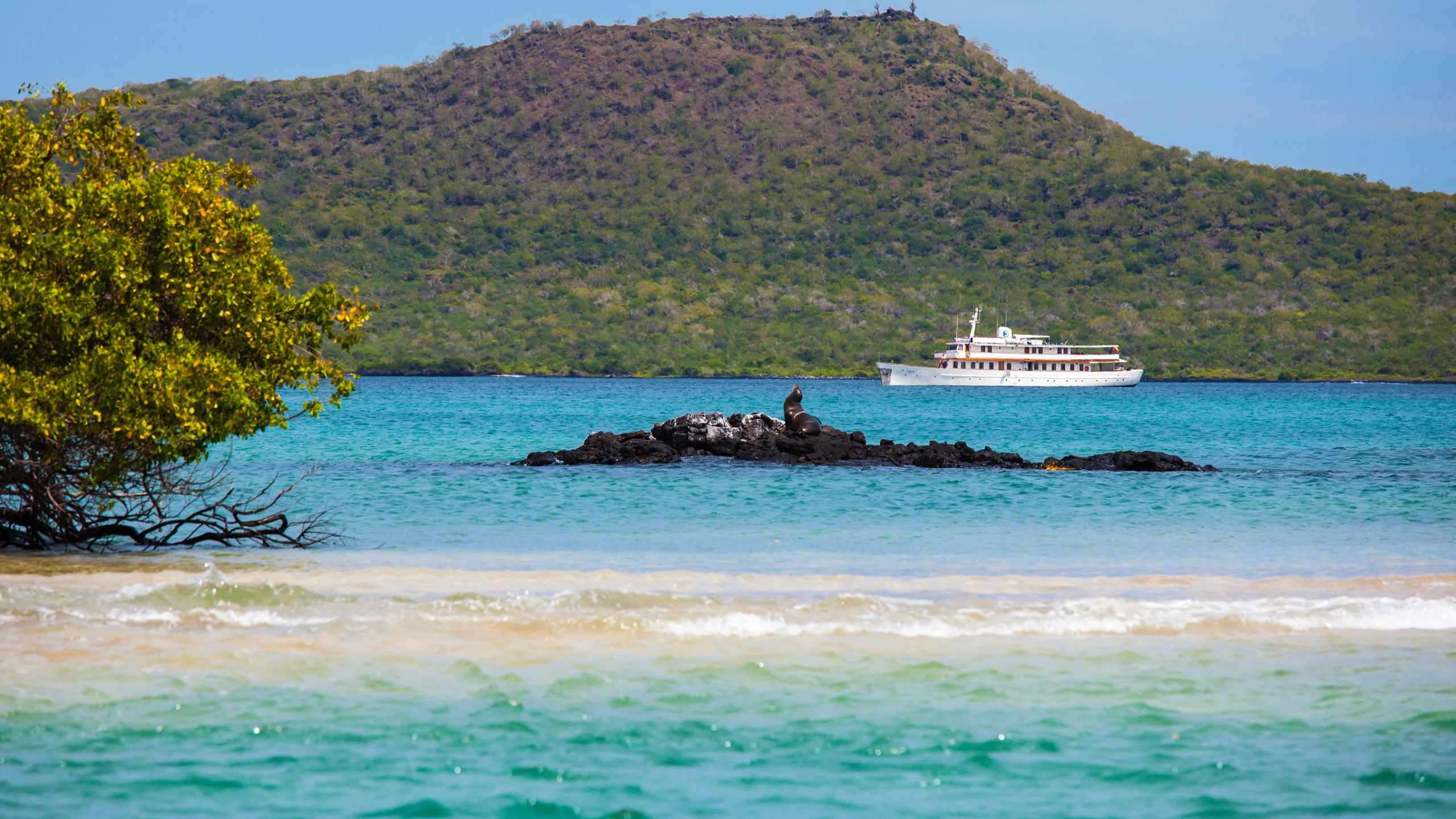 Ultimate Luxury Galapagos by Grace Yacht 8D7N (Beyond Darwin's Footsteps)