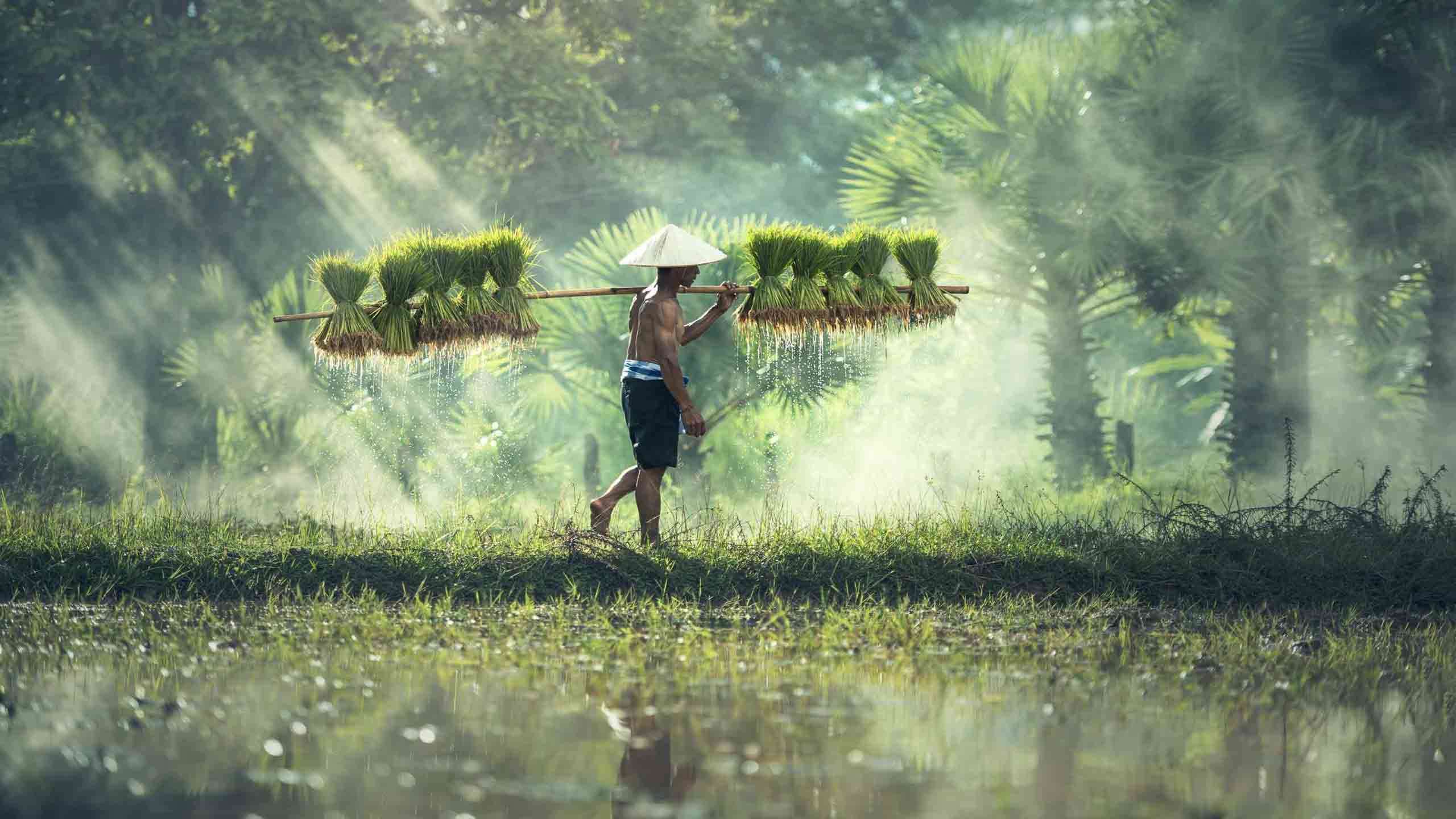 Central Vietnam Cycle, Trek & Kayak Adventure 8D7N, Fully Guided