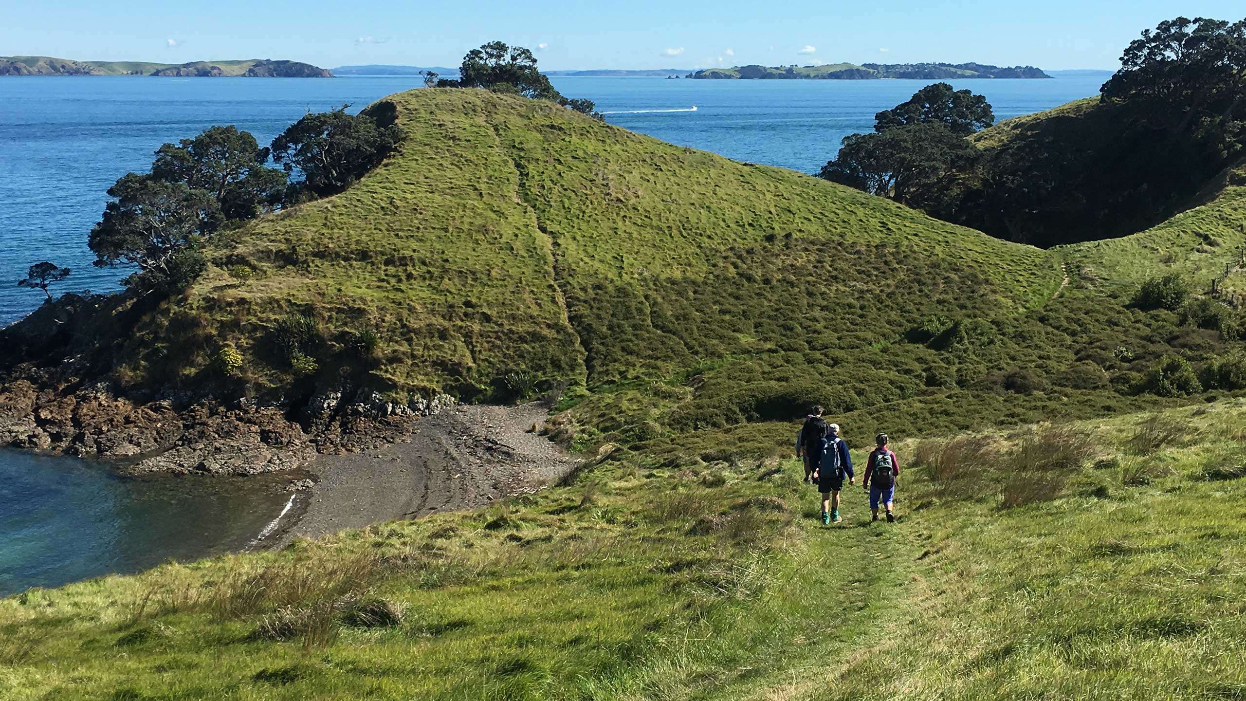 Luxury Waiheke Island Walk 4D3N, Private Guided