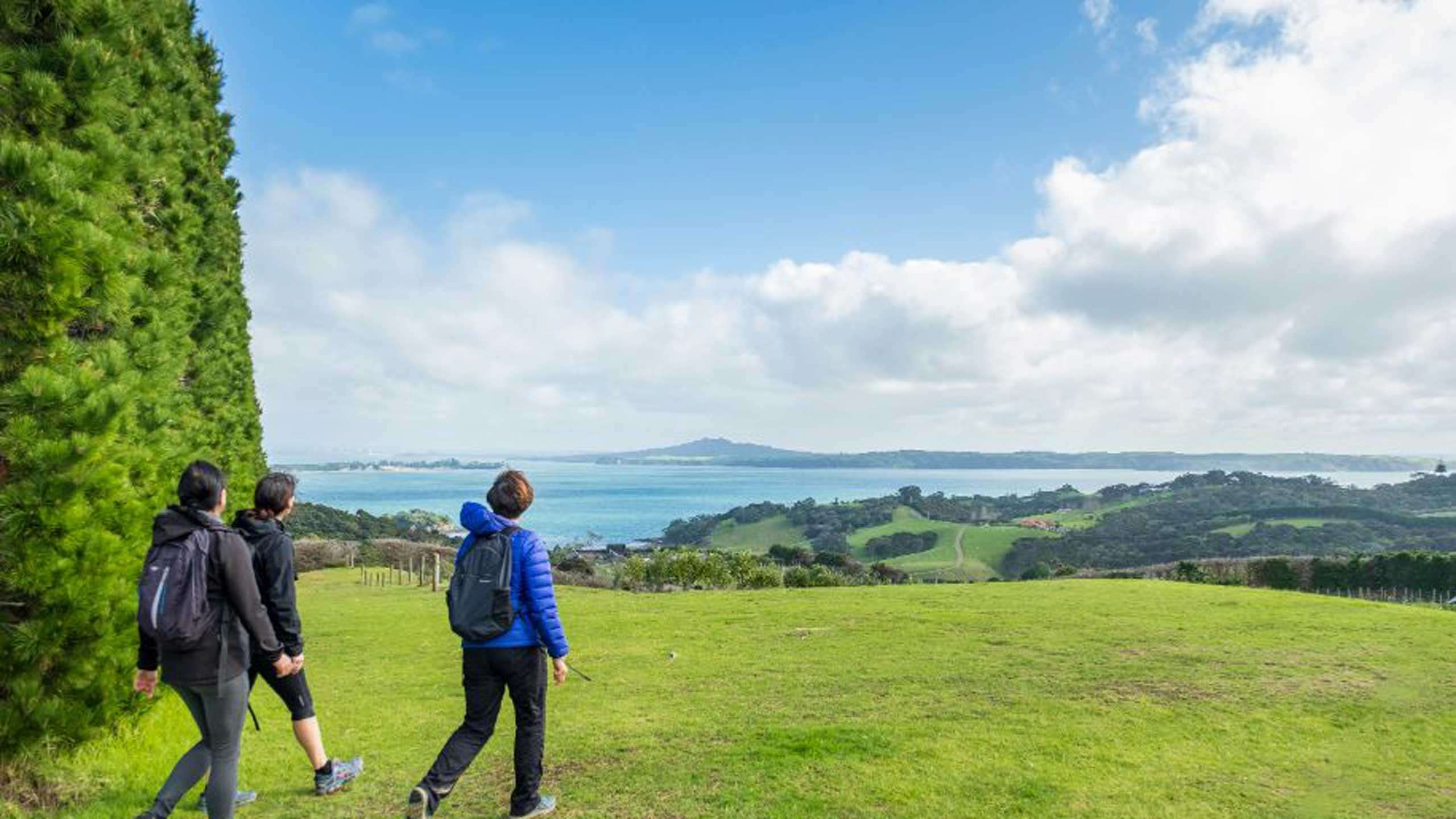 Waiheke Island Te Ara Hura Walk 5D4N, Private Guided