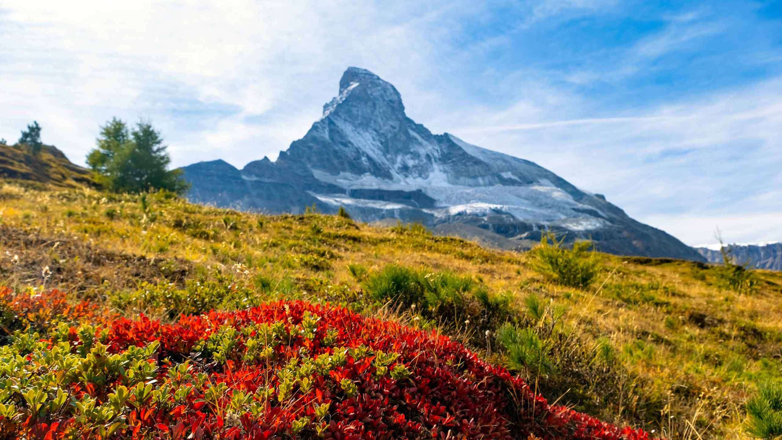 Luxury Italian & Swiss Alps Walk (Monte Rosa, Matterhorn & Zermatt) 6D5N, Fully Guided