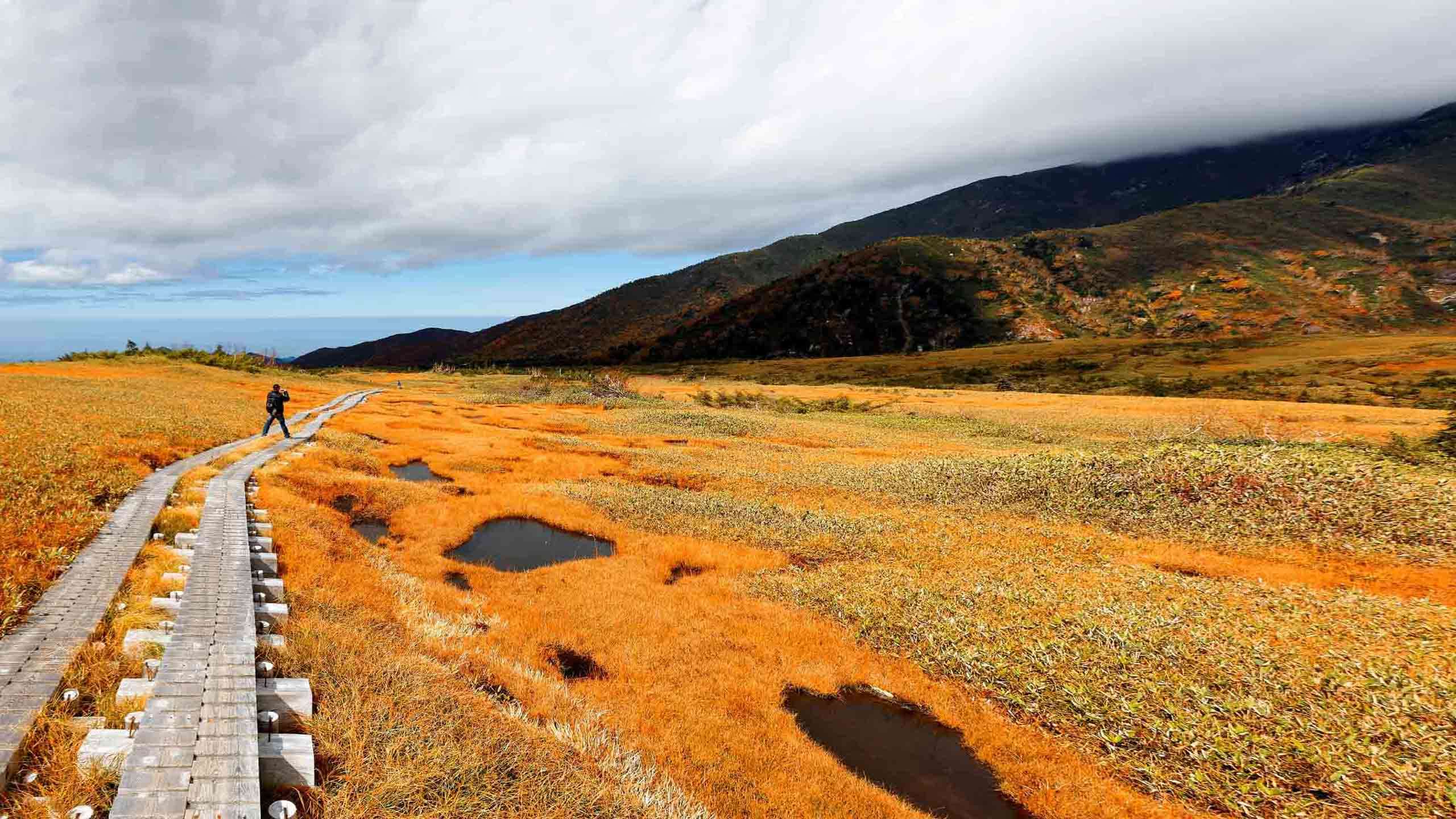 Roof of Japan Tateyama Alpine Route Deluxe Walk 9D8N, Fully Guided