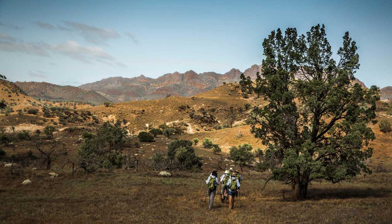 arkaba-walk-flinders-ranges-south-australia-luxury-hike-guided-tour