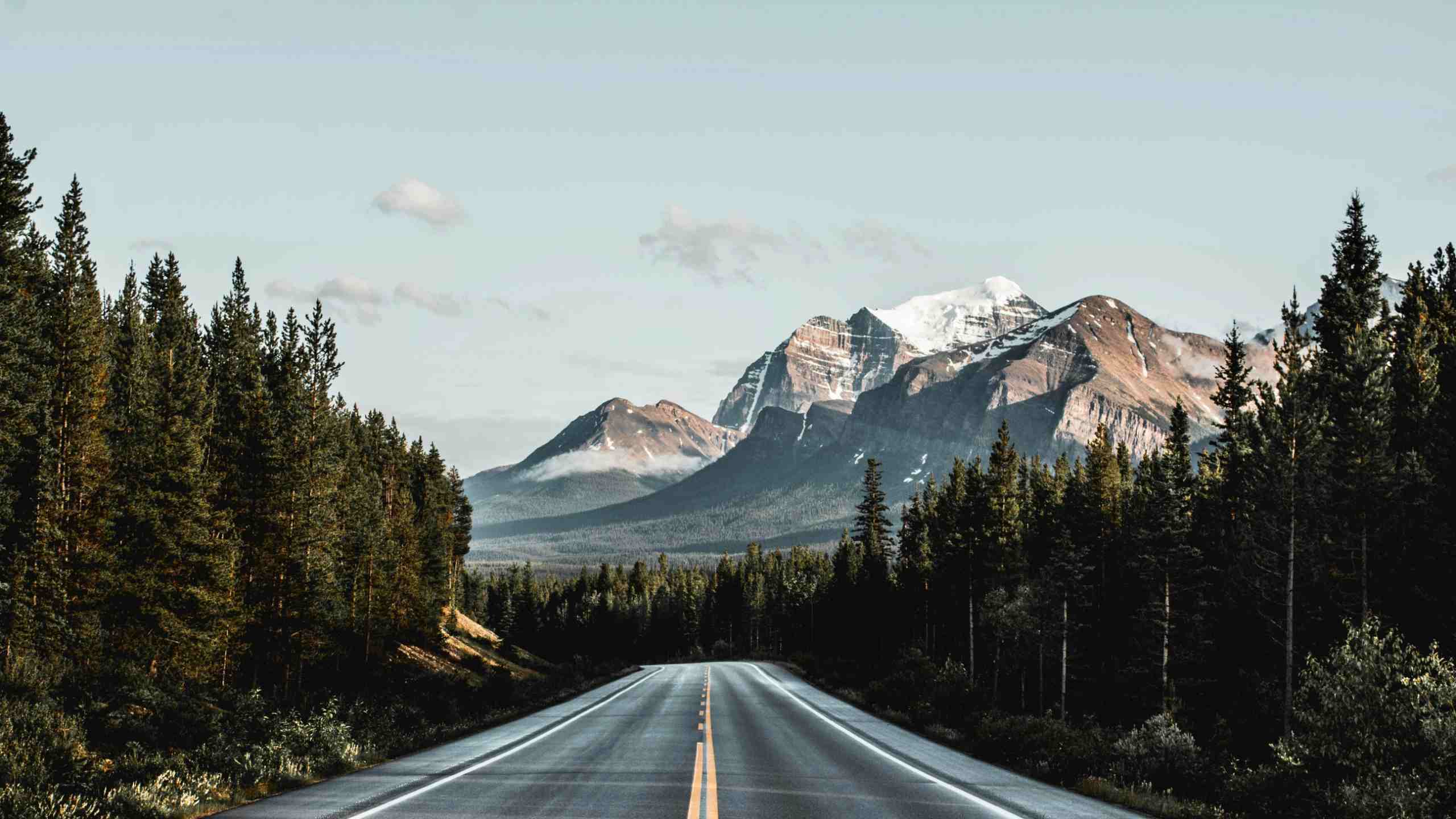 Canadian Rockies by Dimitar Donovski