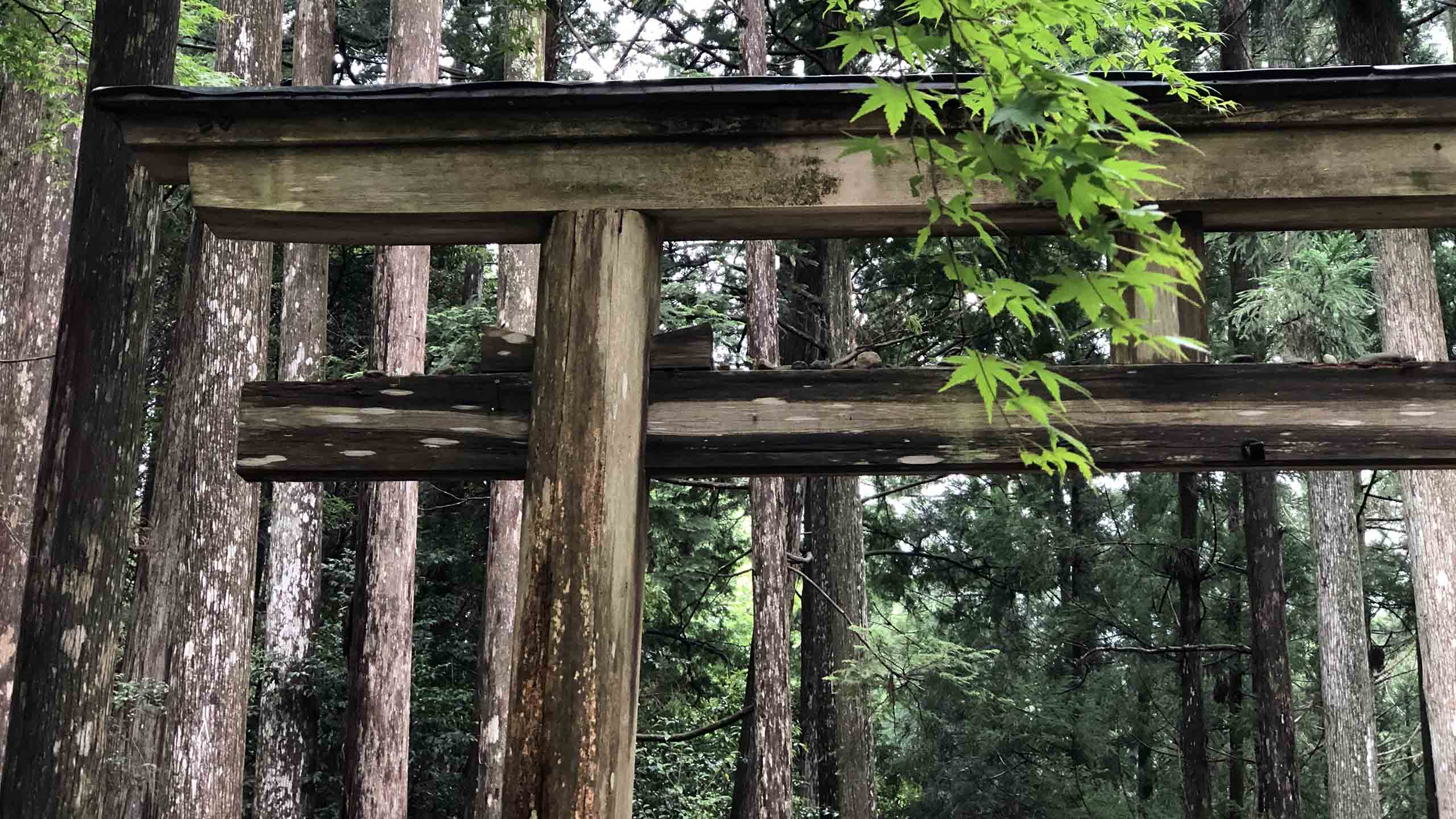 chikatsuyu-oji-nakahechi-route-kumano-kodo-wakayama-japan