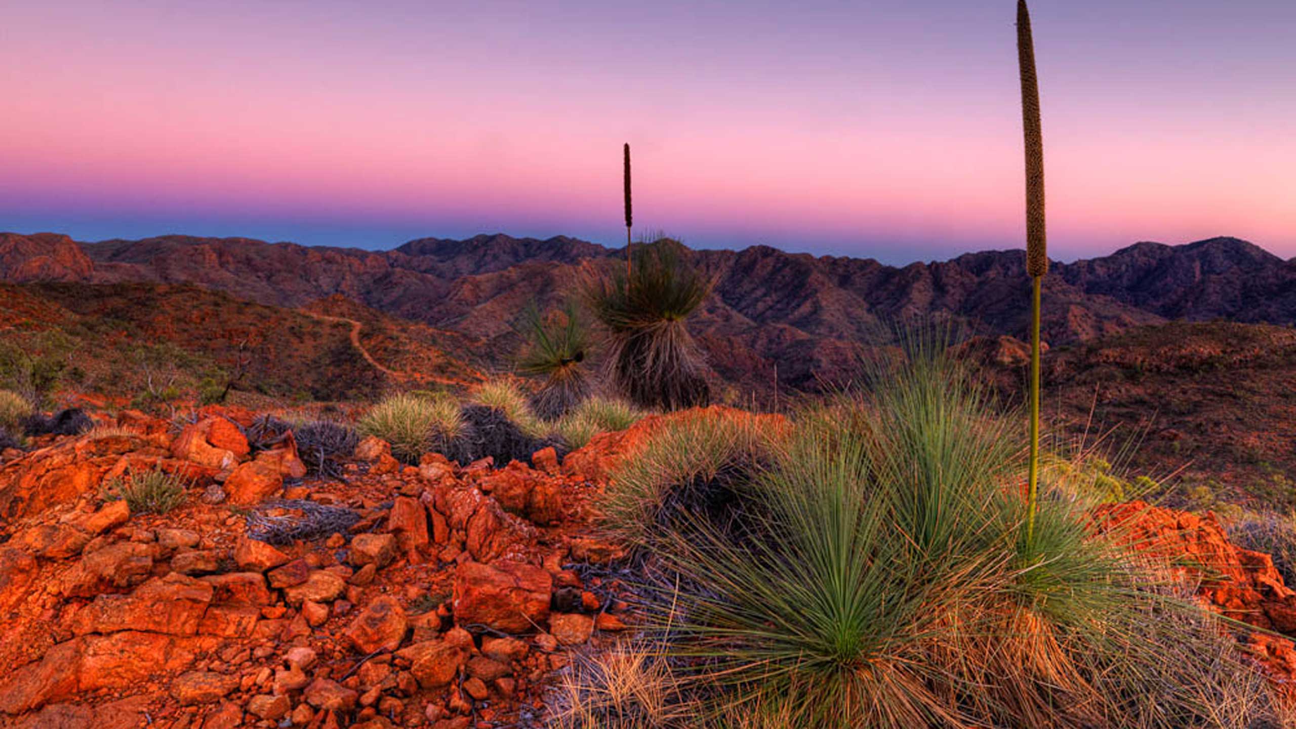 flinders-ranges-outback-walk-south-australia