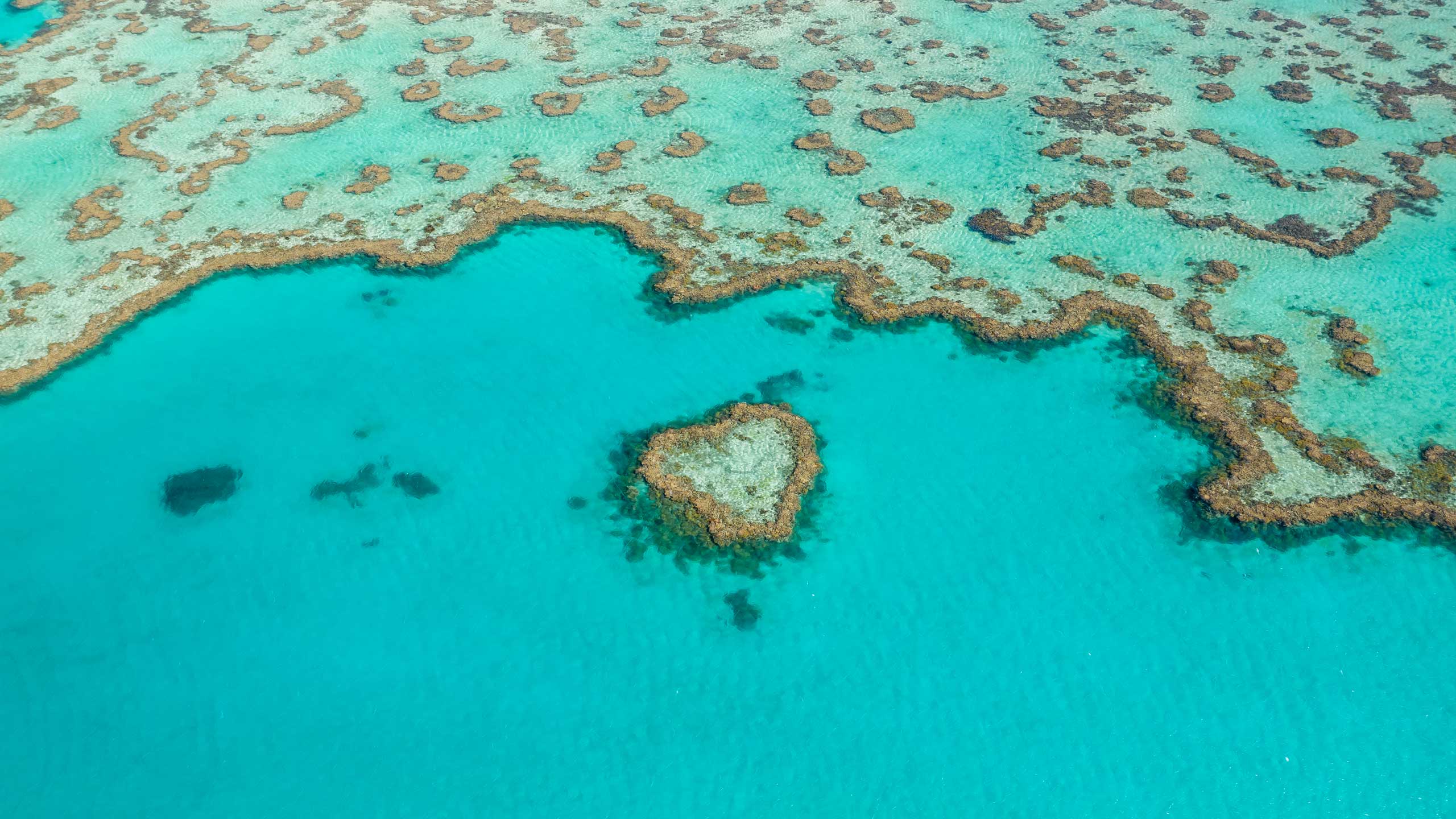 heart-reef-experience-great-barrier-reef-view