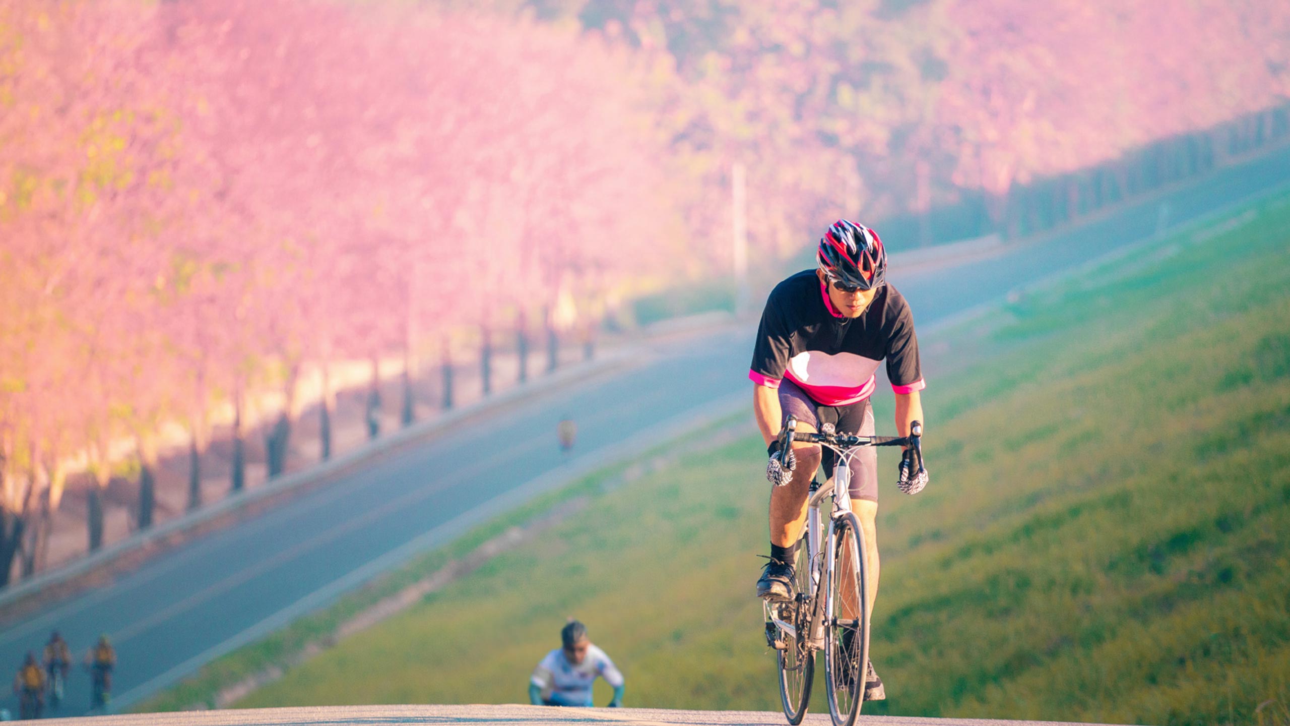 Japan Cycling