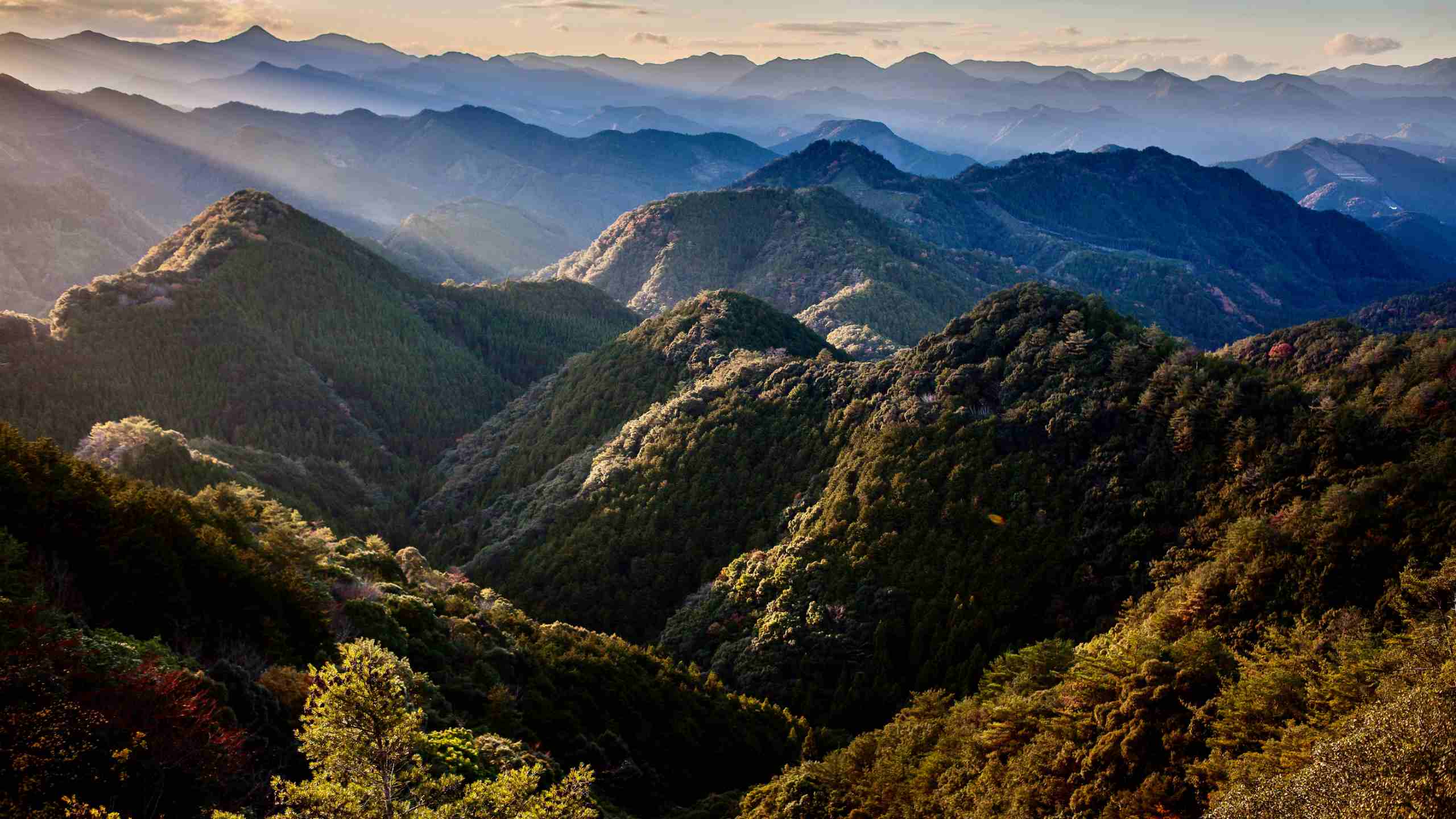 Kumano Kodo landscape