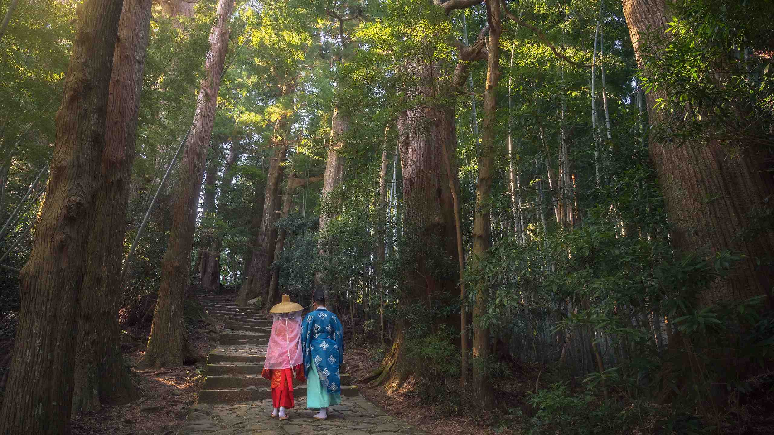 Kumano Kodo Trail 