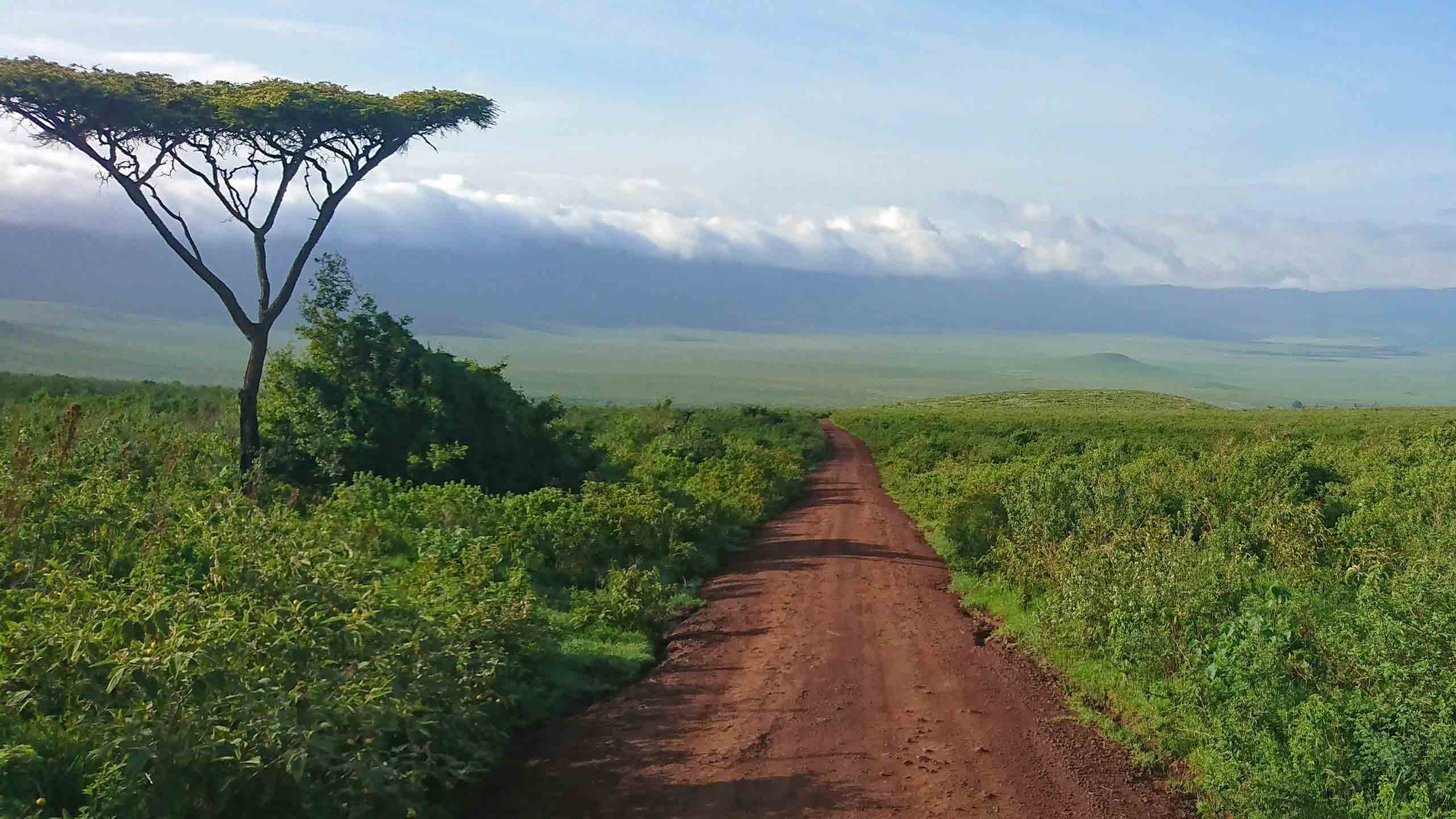 Ngorongoro Crater Tanzania