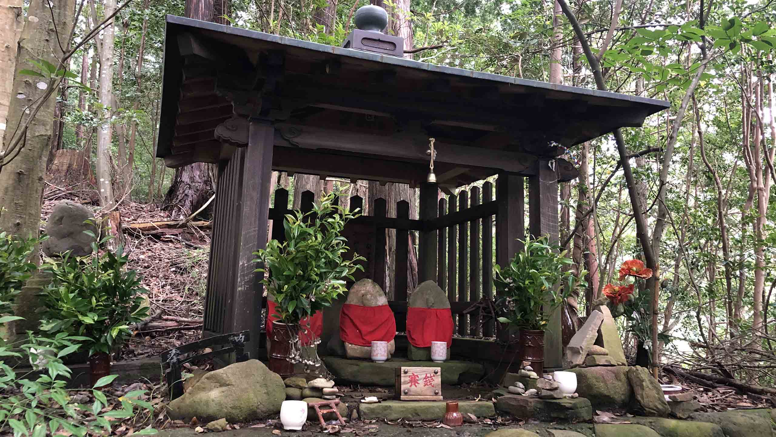 takijiri-to-takahara-trail-7-kumano-kodo-wakayama-japan
