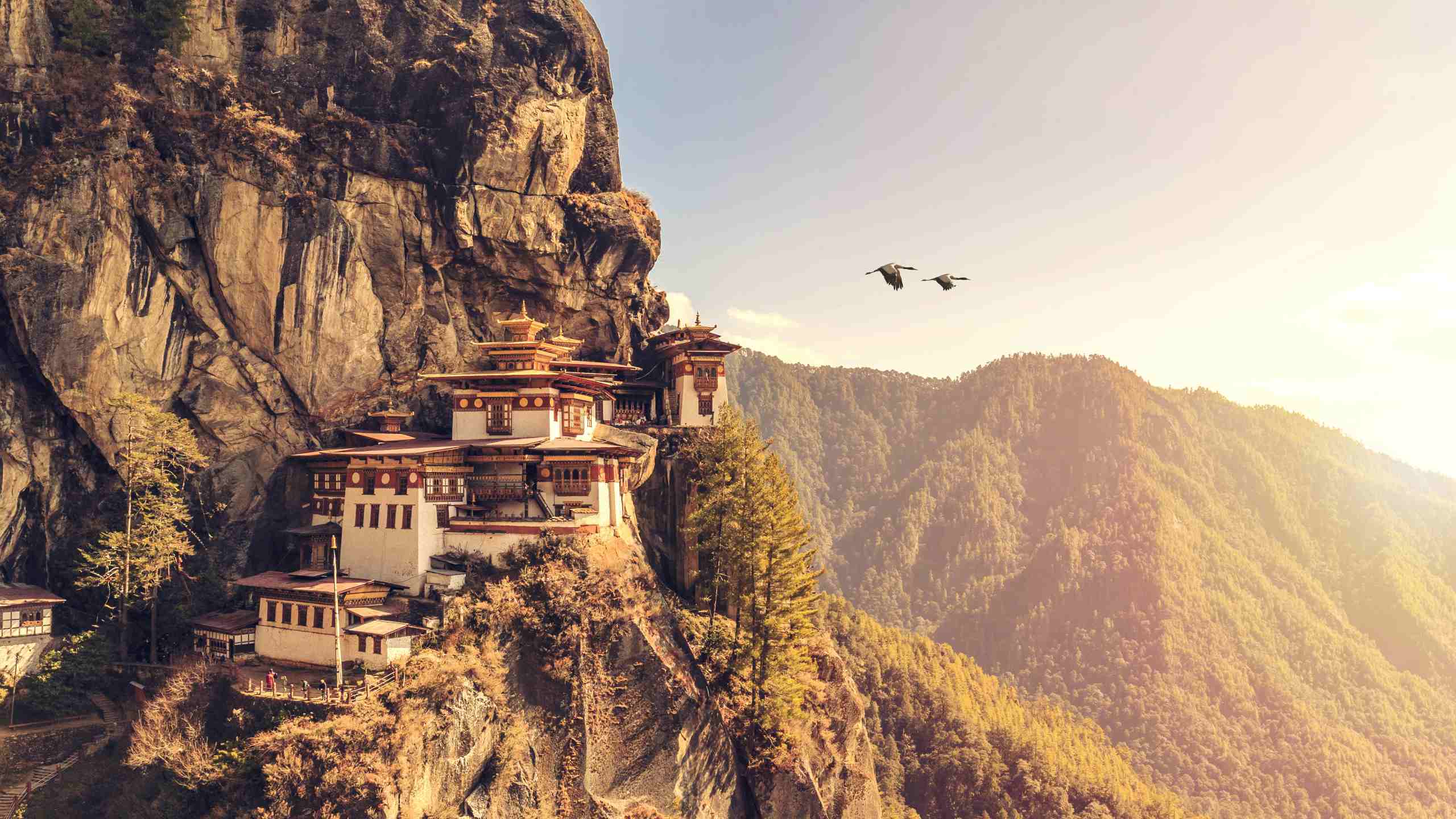 Bhutan Tiger's Nest Photo Credit: Framalicious