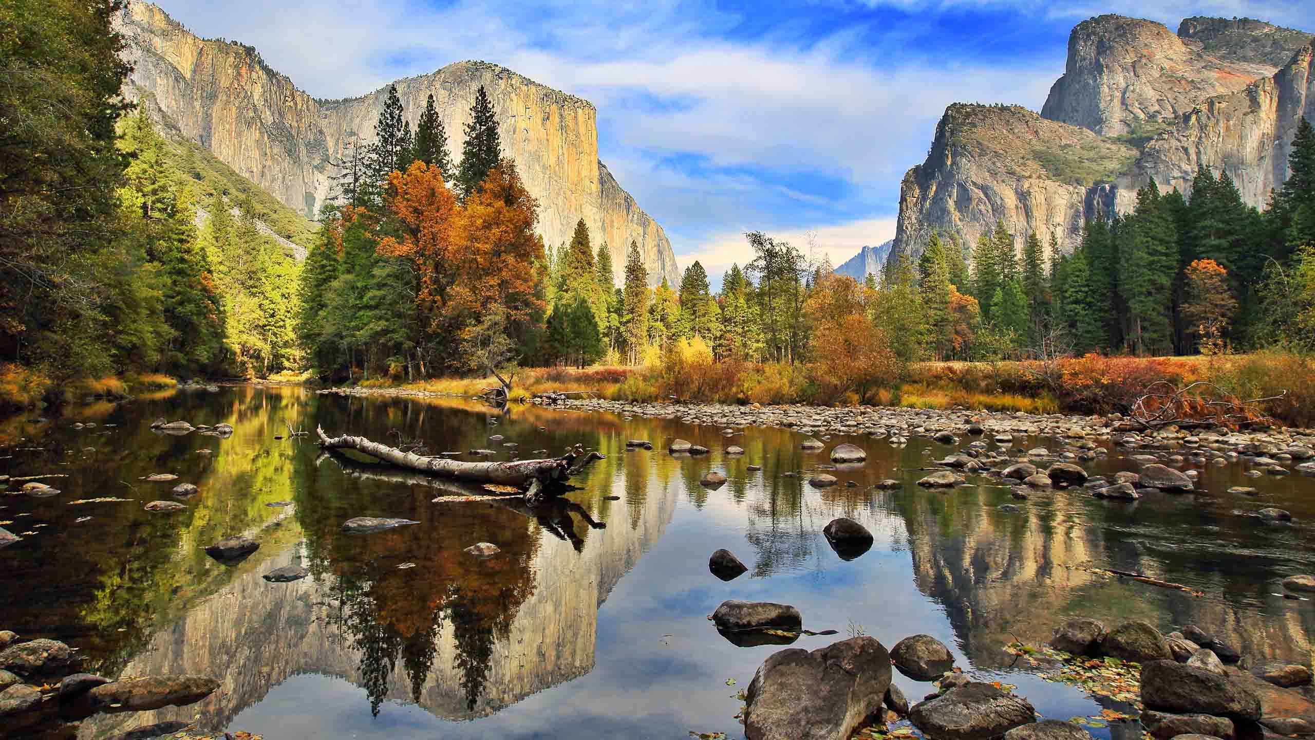 Yosemite National Park by Nadia Yong