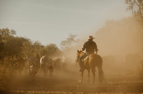 bullo-river-station-kimberley-northern-territory-australia-outback-luxury-horse-riding