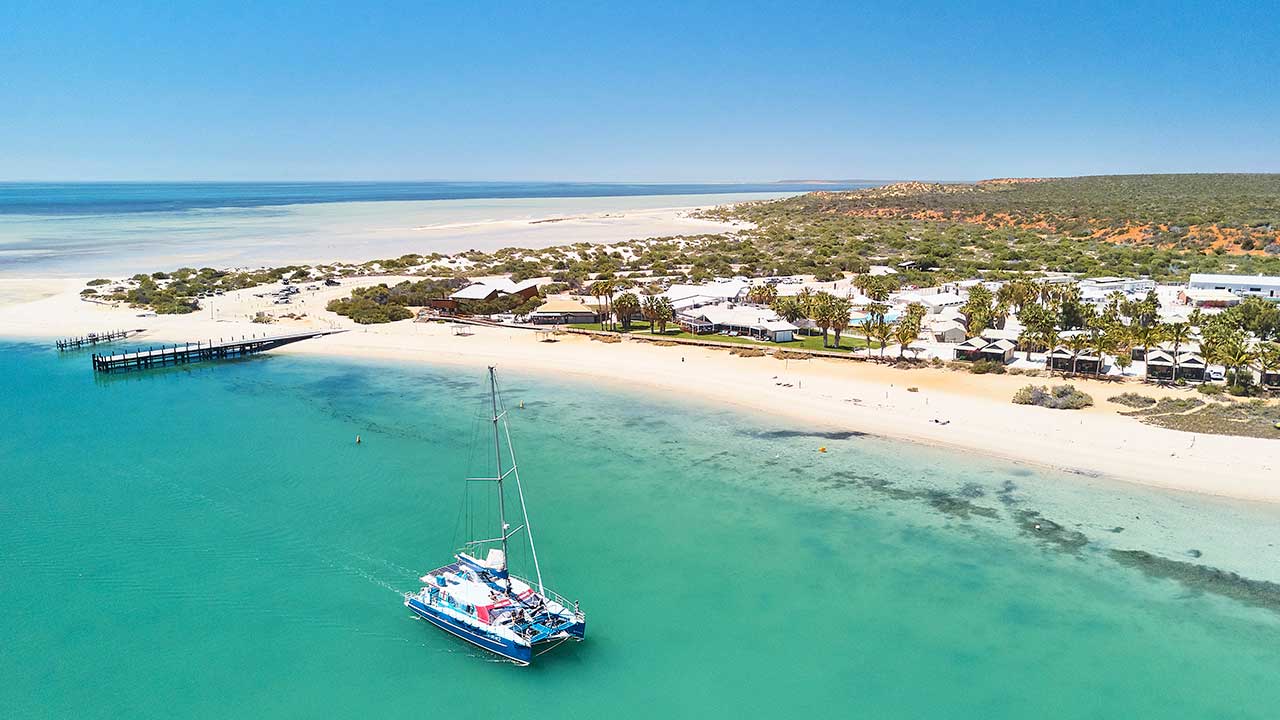 monkey-mia-dolphin-resort-western-australia-shark-bay-catamaran