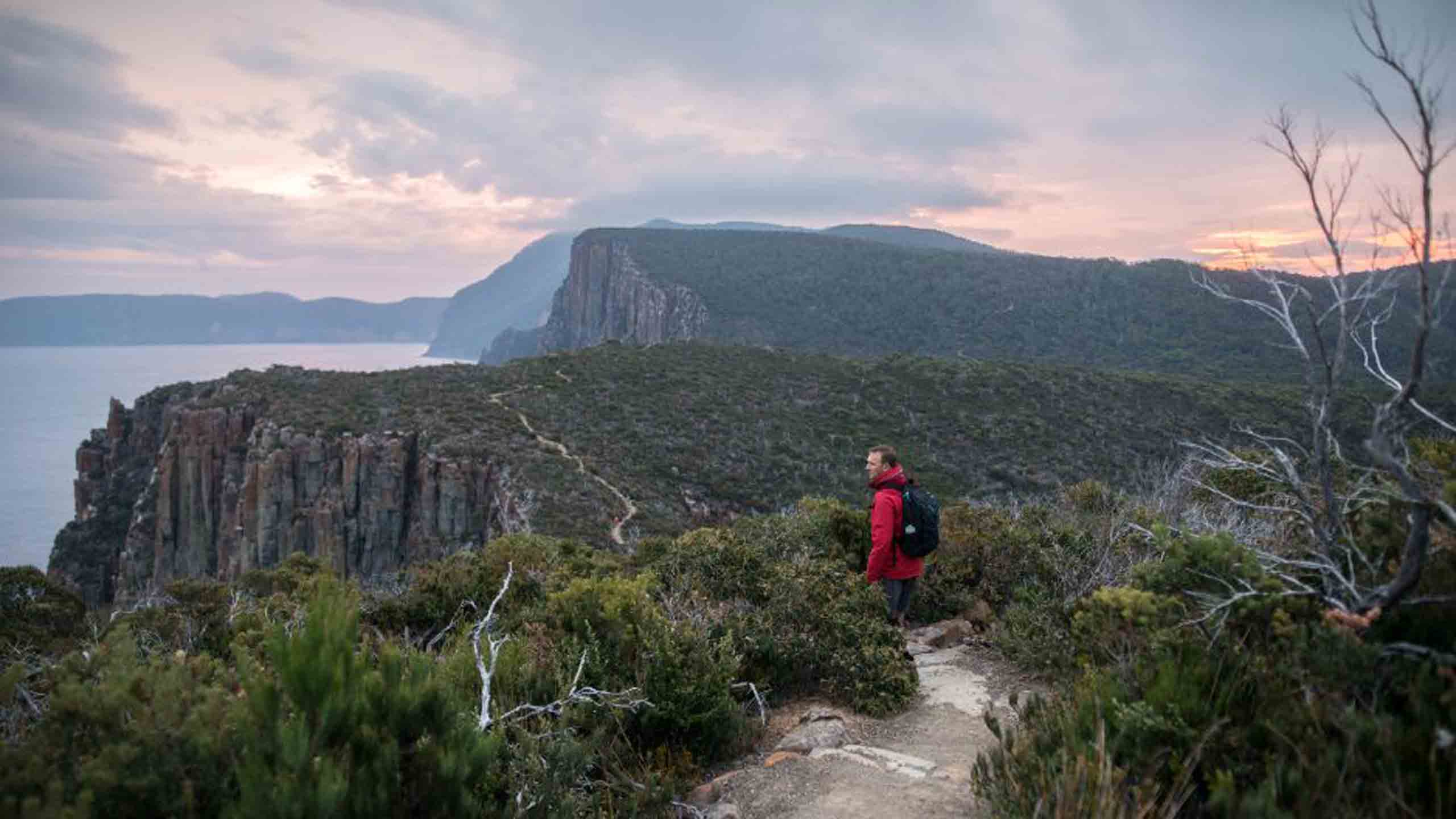 three-capes-lodge-tasmania-walk-track