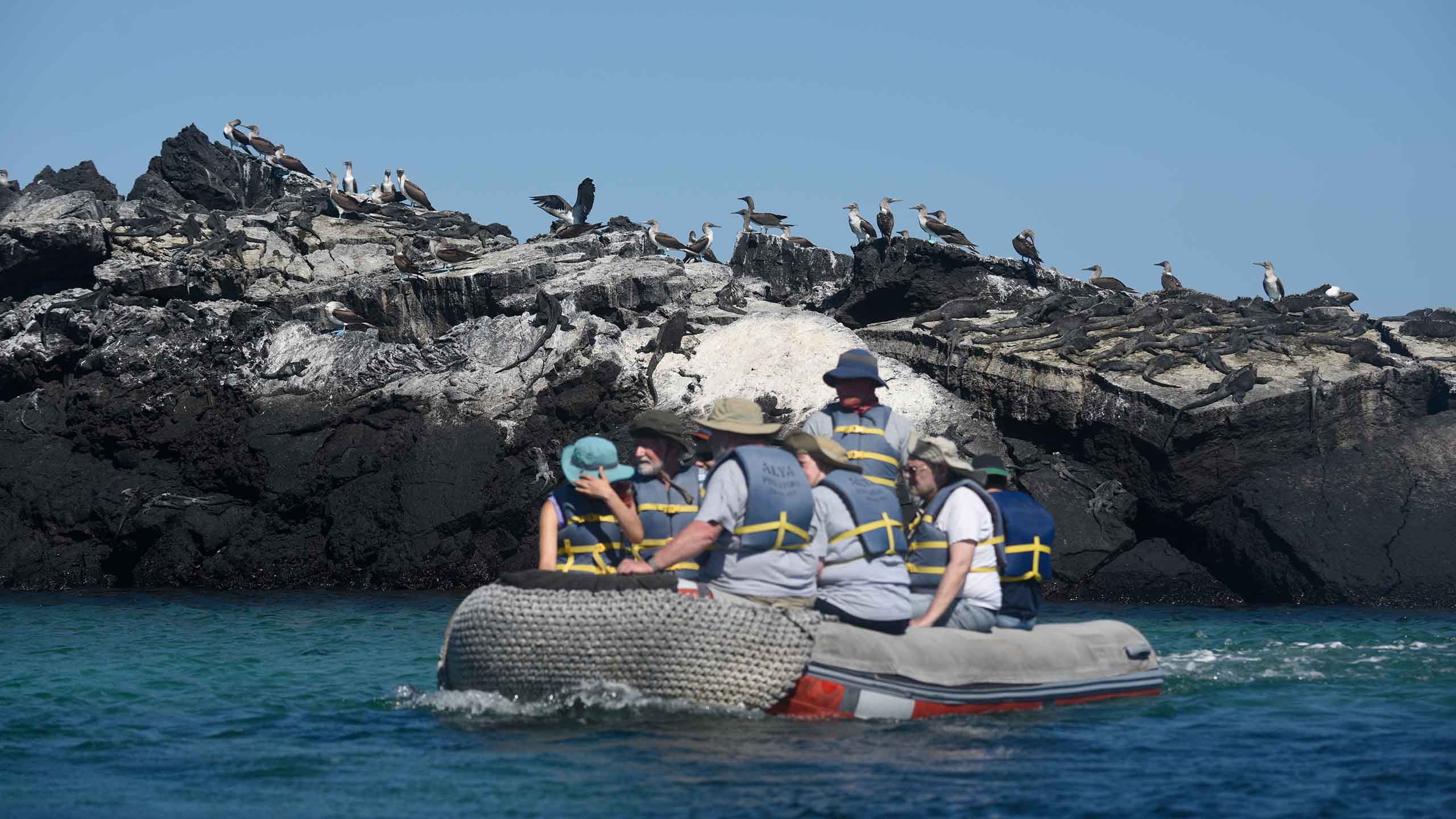 alya-galapagos-panga-activity