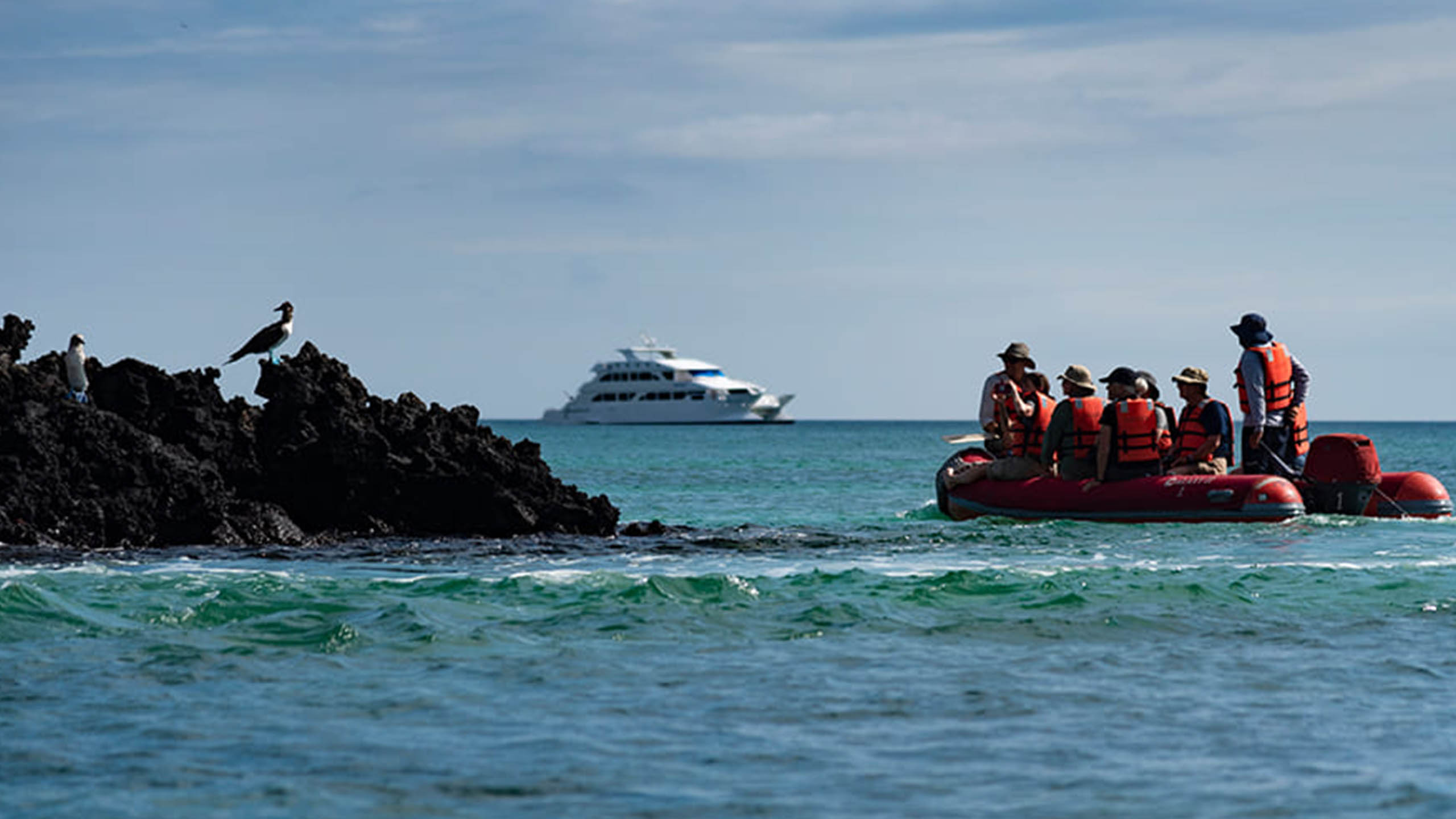 ecogalaxy-galapagos-ship-onboarding