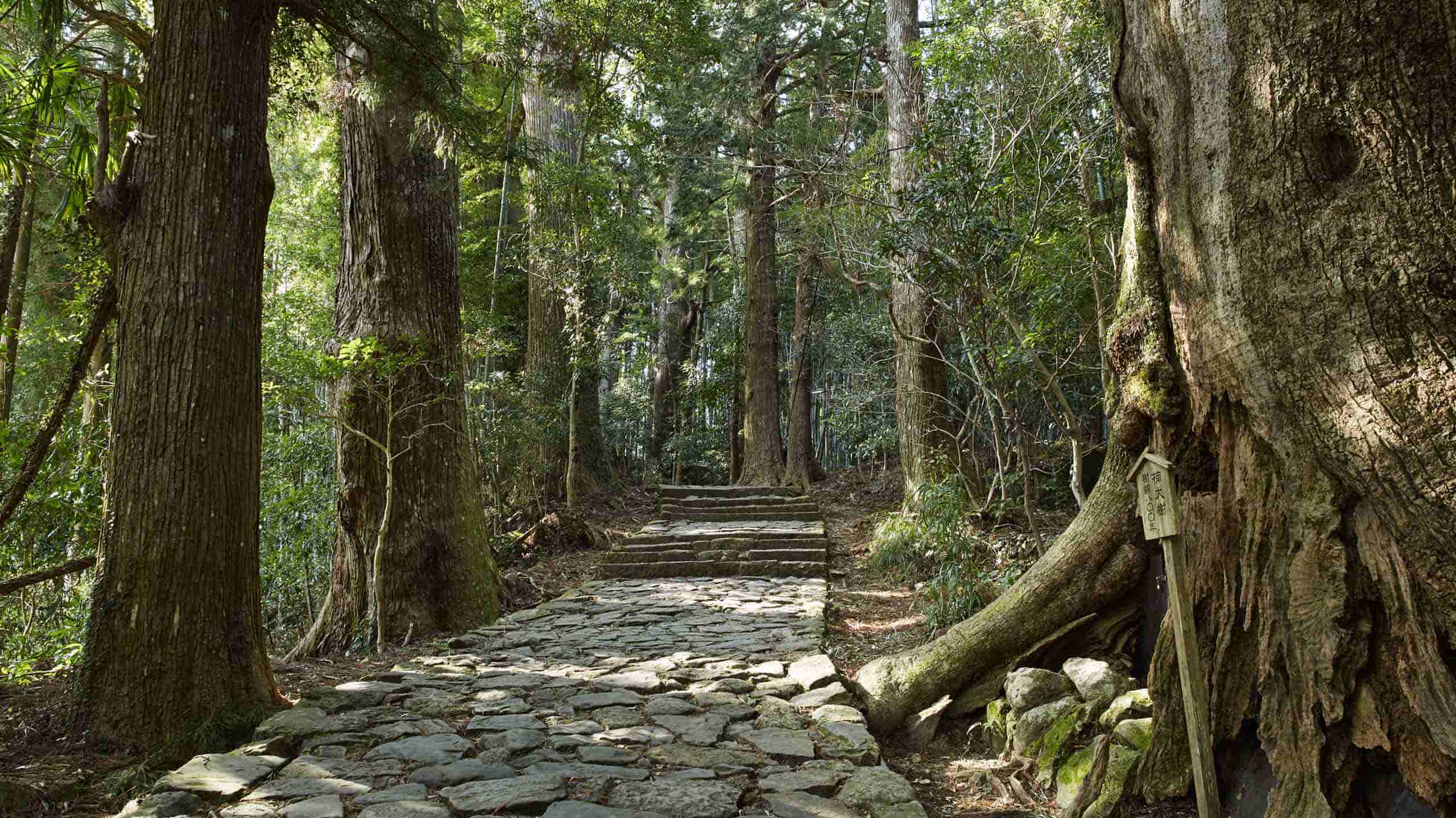 amanenu-japan-accommodation-kumano-kodo