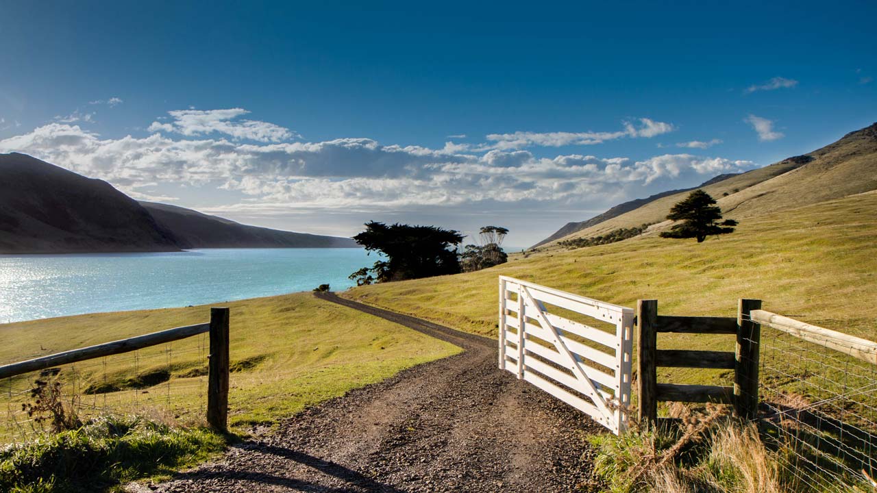 annandale-farm-new-zealand-banks-peninsula-farm-gate