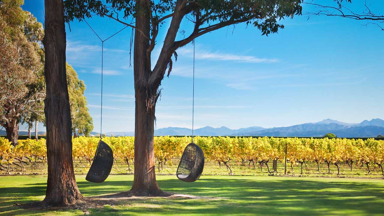 Cloudy-Bay-Cellar-Door-hanging-egg-chairs-marlborough-new-zealand