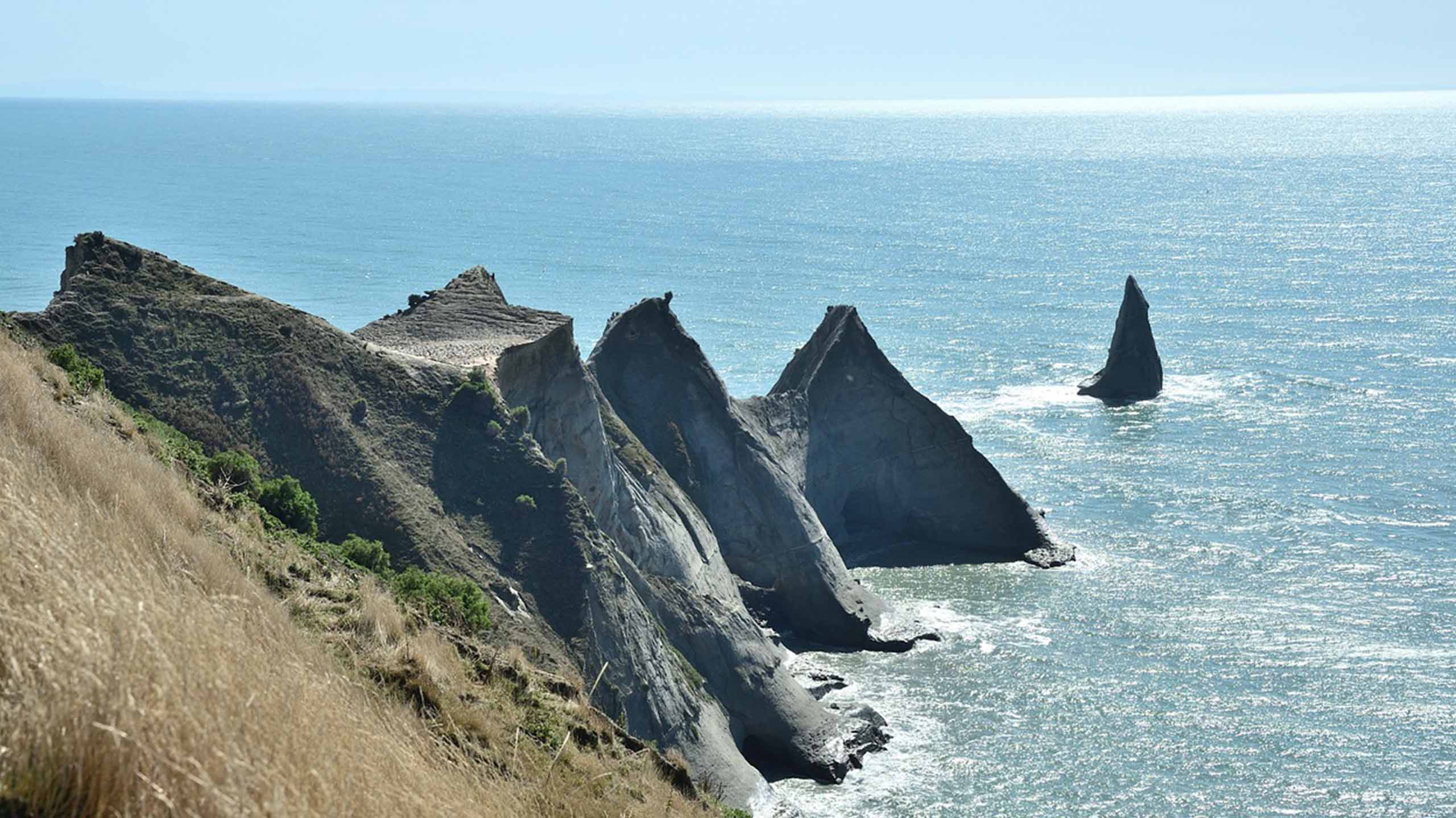 hawthorne-house-new-zealand-cliff-adventures