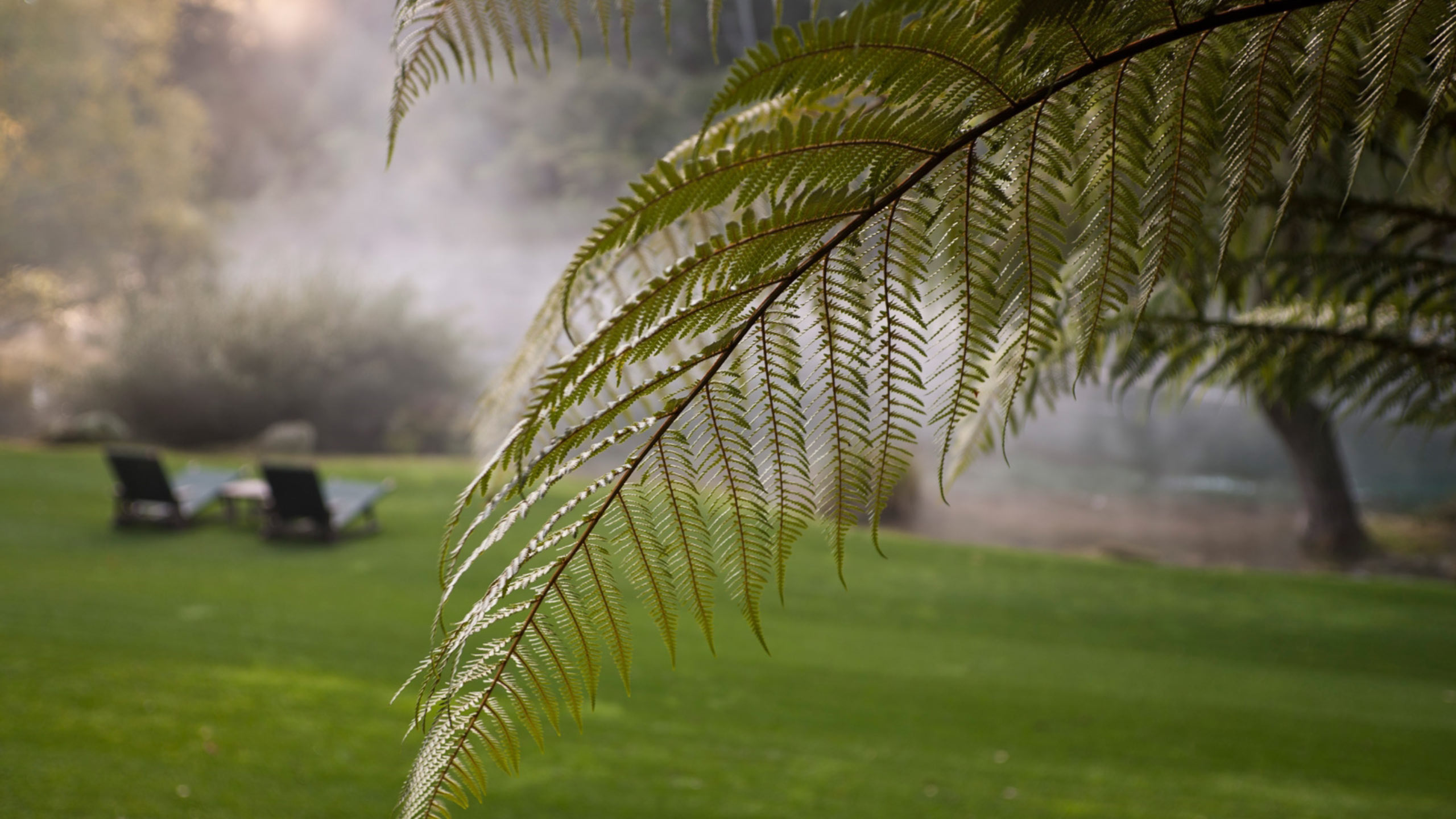 manicured-gardens-huka-lodge-taupo-new-zealand