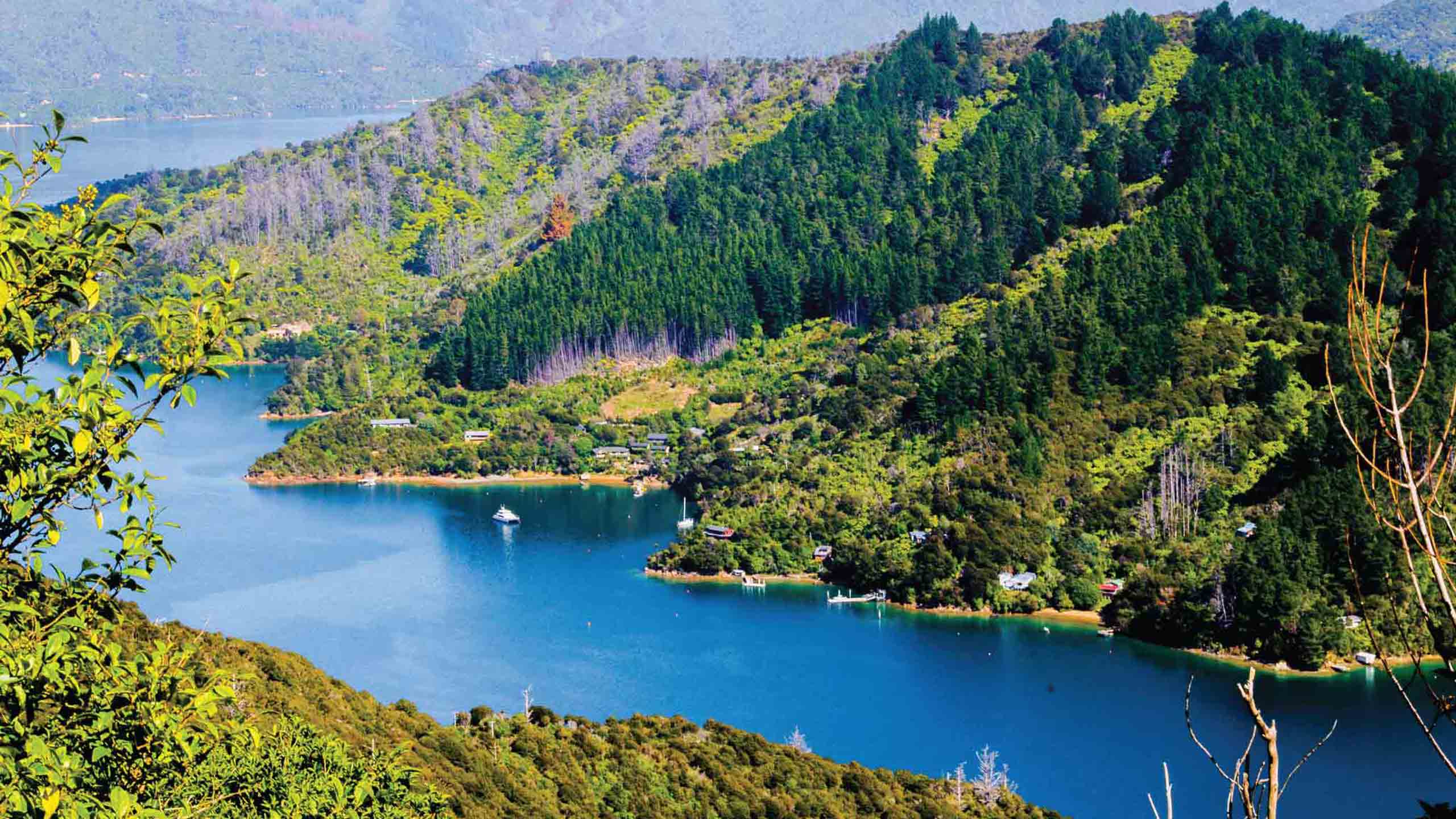 Queen-Charlotte-track-walk-picton-new-zealand-marlborough-sounds