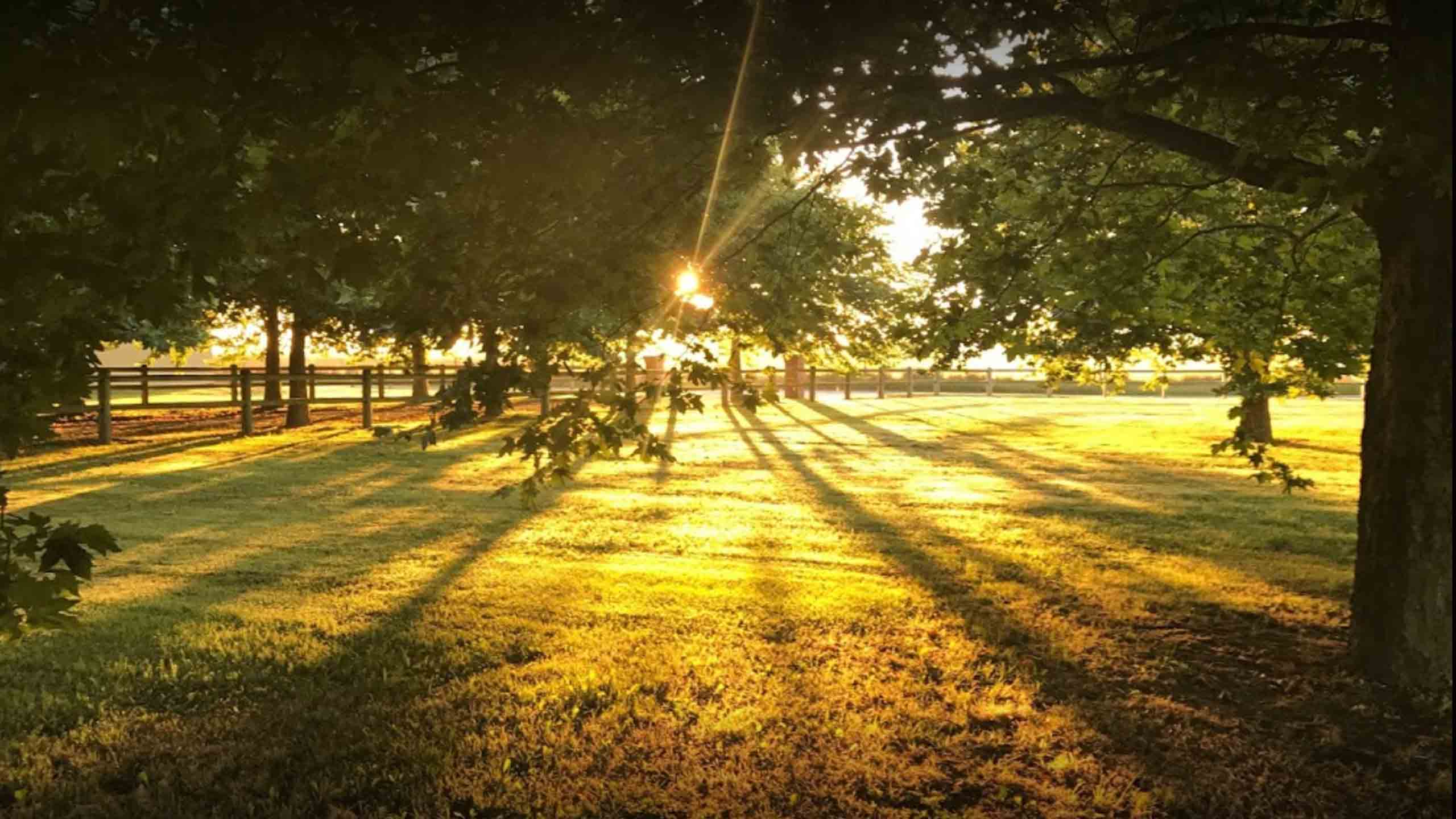 rowley-estate-homestead-blenheim-marlborough-grounds