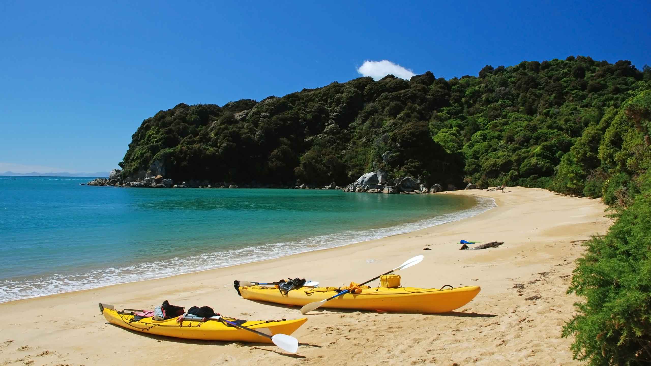 abel-tasman-national-park-new-zealand