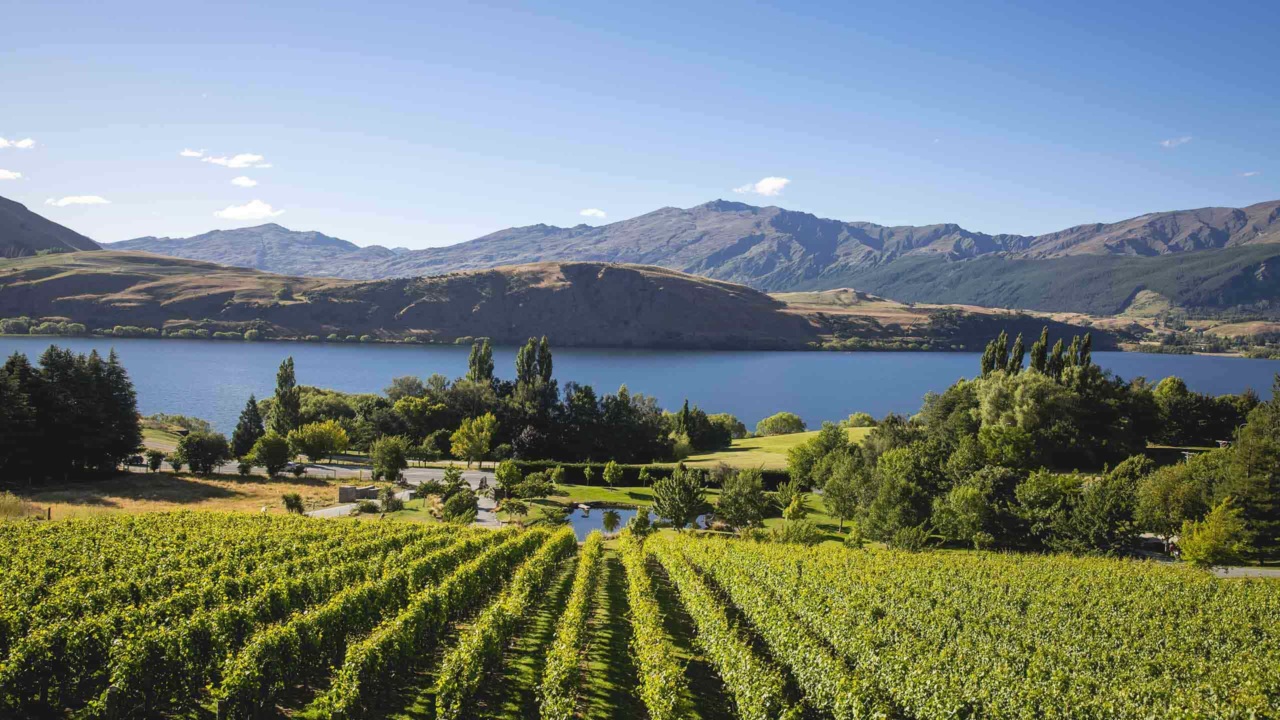 stoneridge-estate-queenstown-new-zealand-grounds-and-gardens