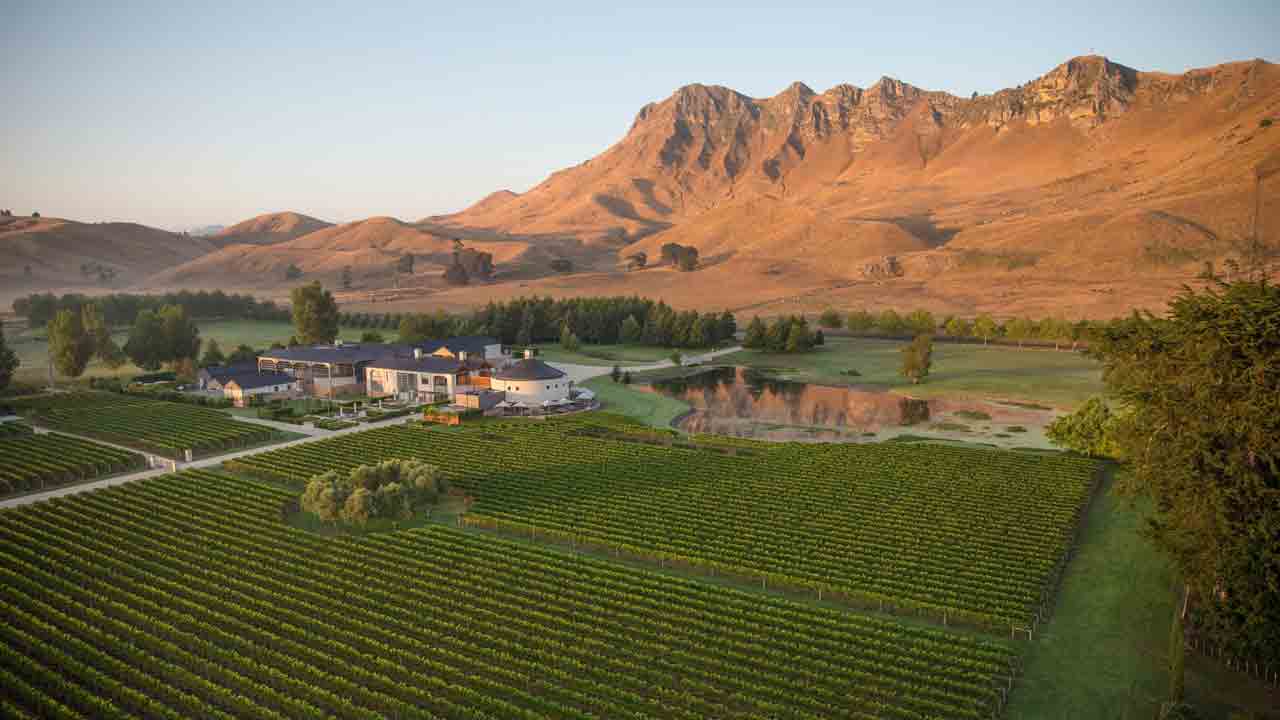 Craggy-Range-Hawkes-Bay-Aerial