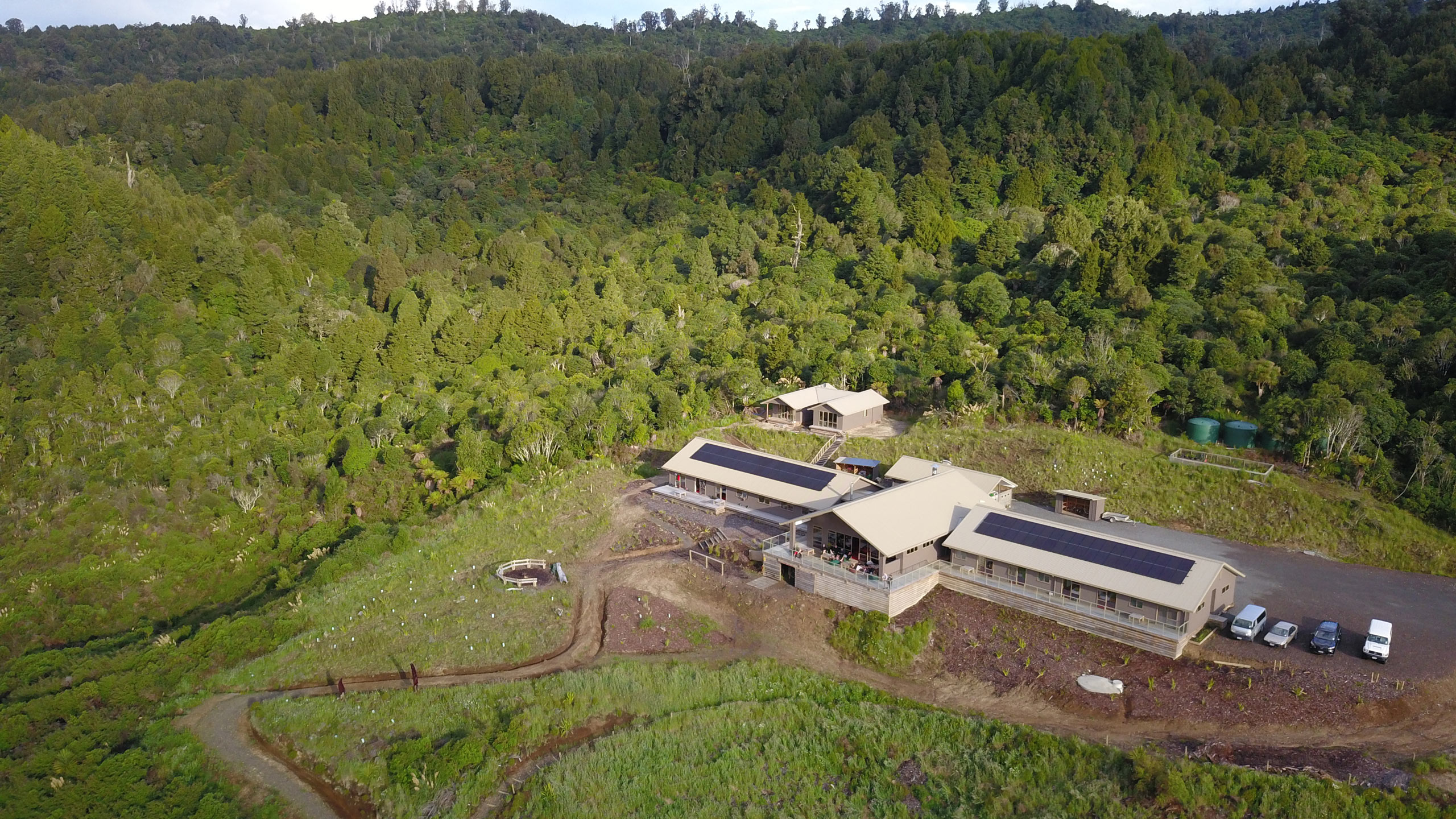 timber-trail-lodge-new-zealand-Pureora-Forest-Park