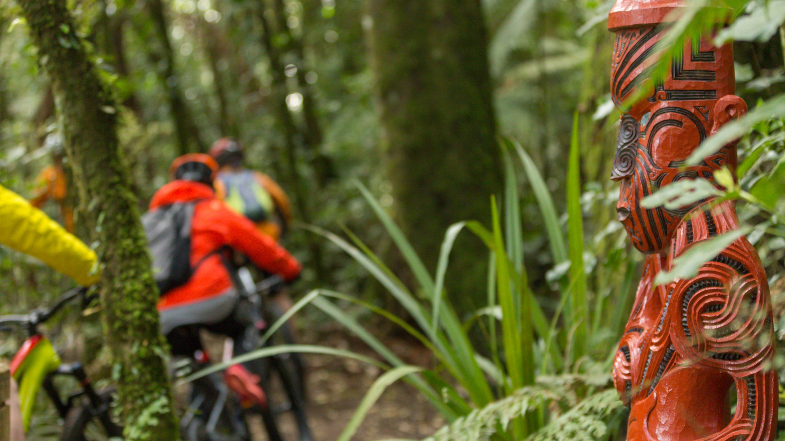 timber-trail-lodge-new-zealand-timber-trail