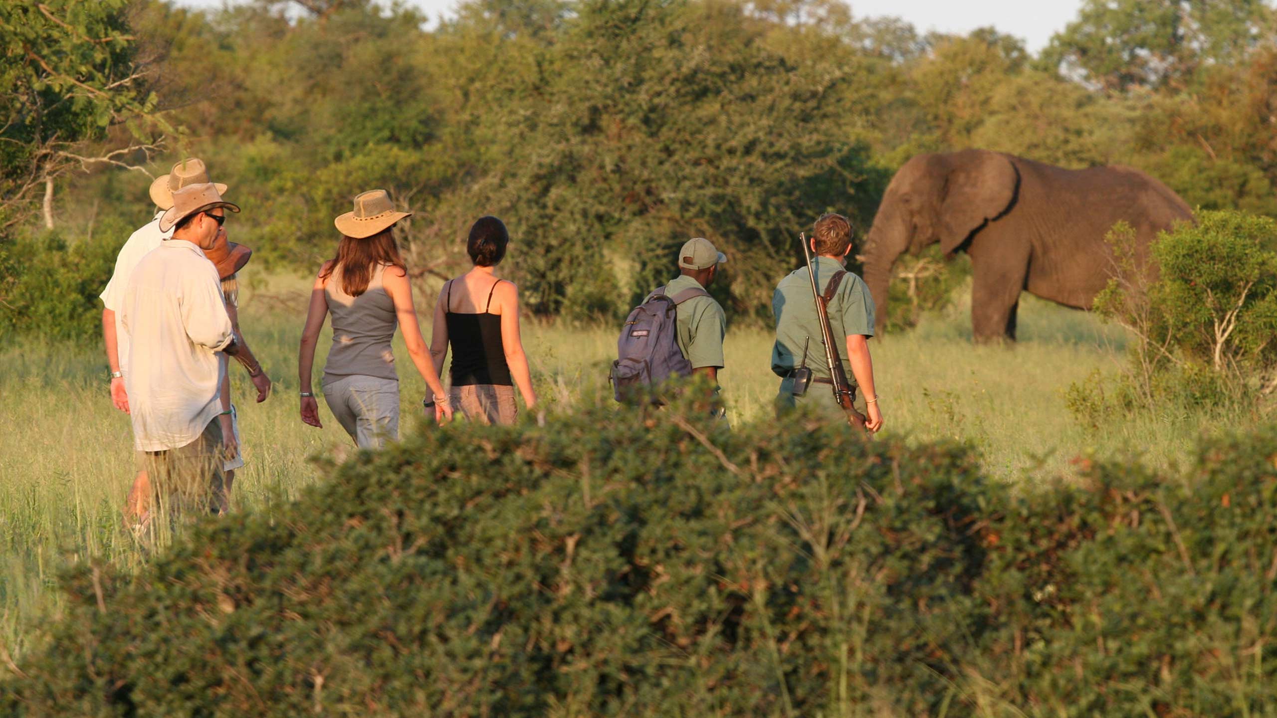 the-plains-camp-home-of-rhino-walking-safari-south-africa-tourists-elephant