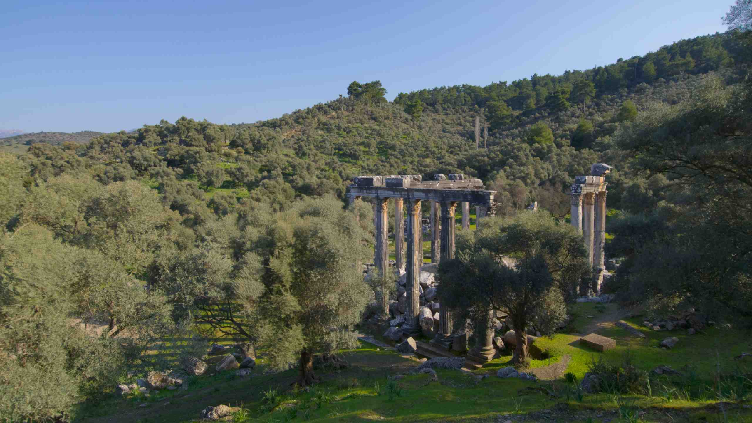 euromos-ruins-surrounded-by-florest-amanruya-turkey