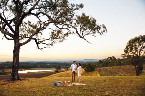 hunter-valley-nsw-australia-audrey-wilkinson-vineyard-poklobin-picnic