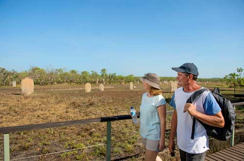 northern-territory-australia-litchfield-national-park-magnetic-termite-mounds-viewing