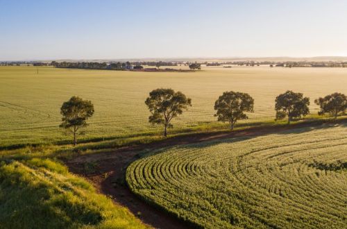 south-australia-clare-valley-wine-region-wine-tasting-countryside