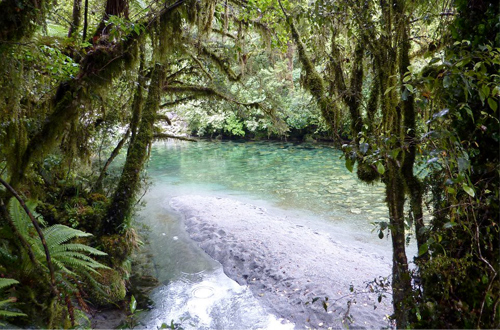 arthur-river-tasmania